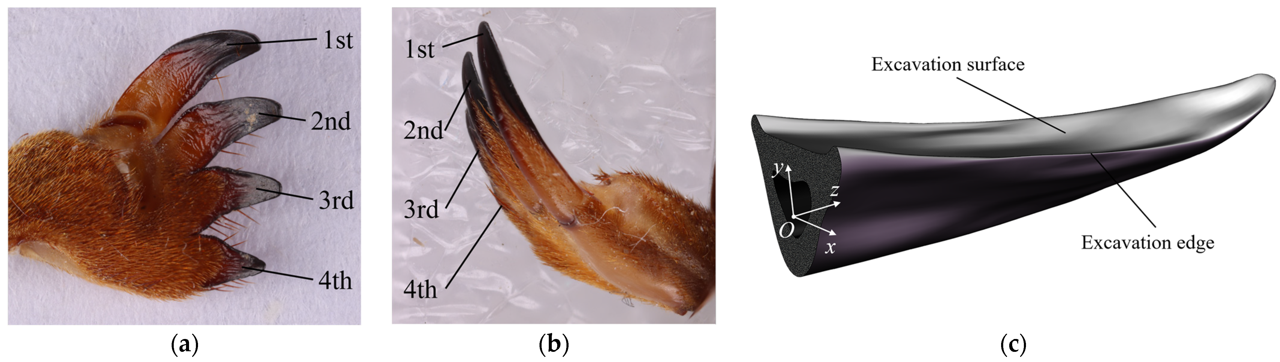 Machines 10 00562 g003