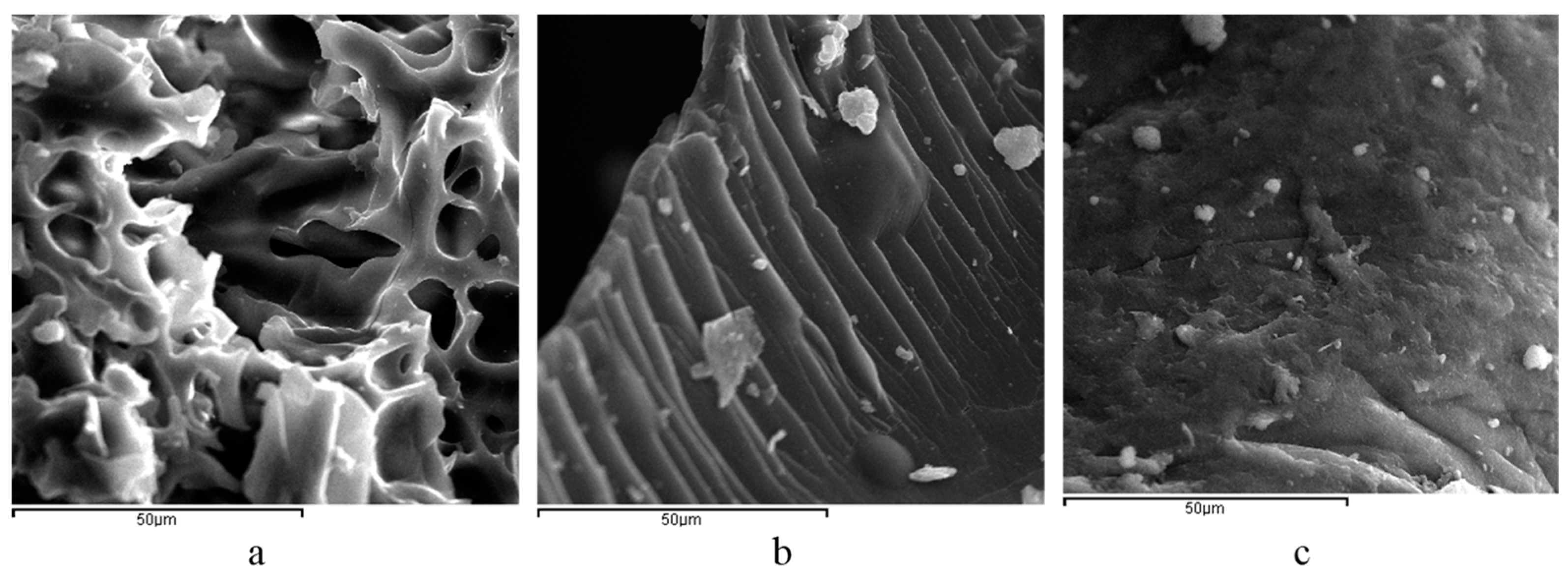 Macromol 04 00018 g002