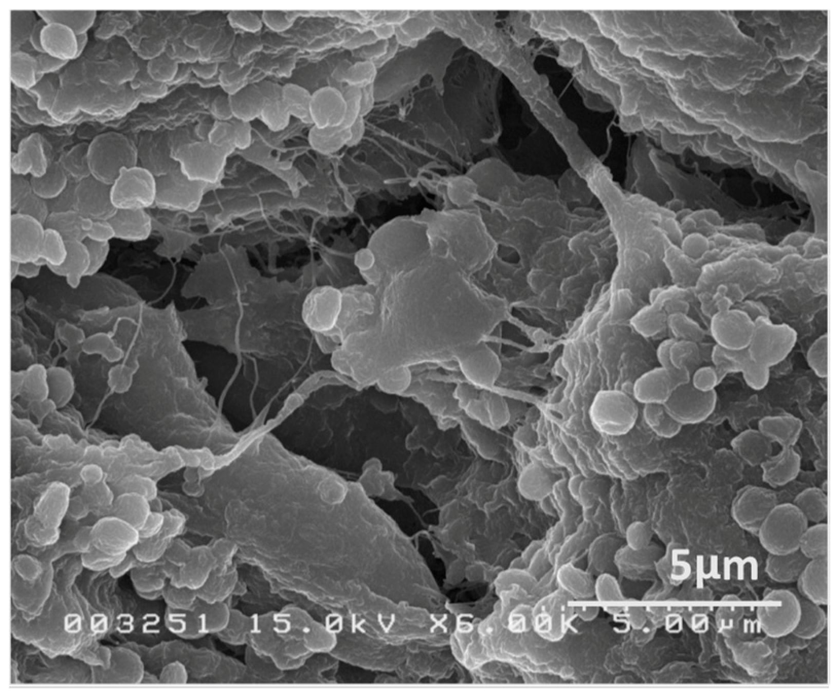 Magnetochemistry 05 00060 g001