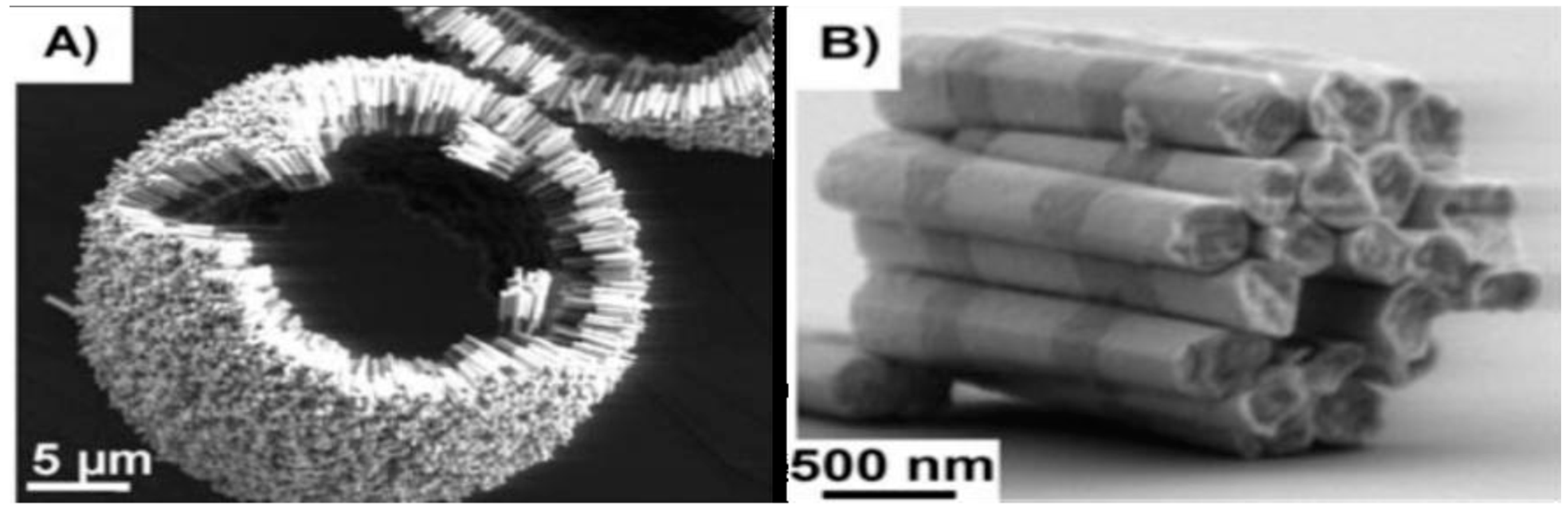 Magnetochemistry 05 00067 g020