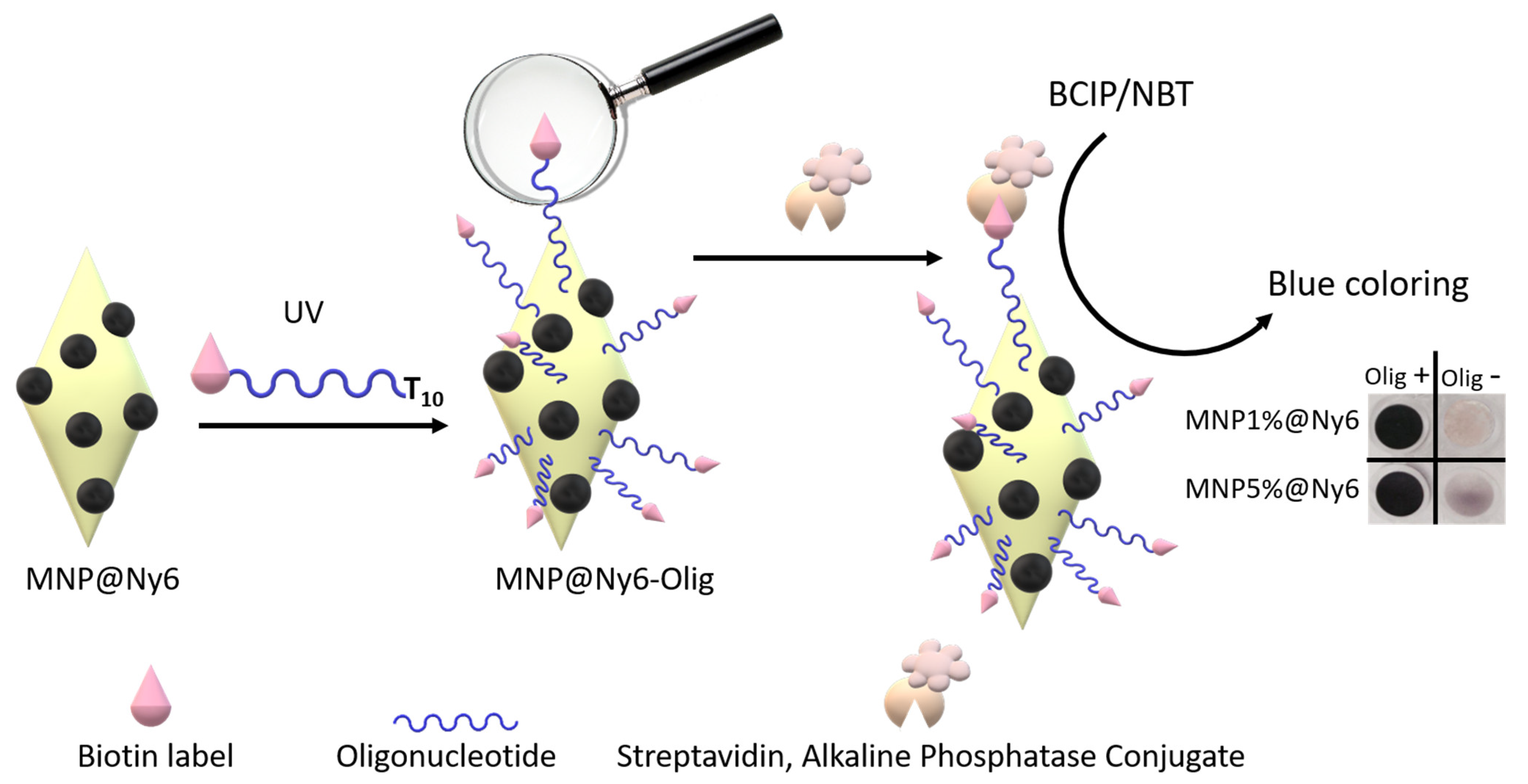 Magnetochemistry 08 00085 g004