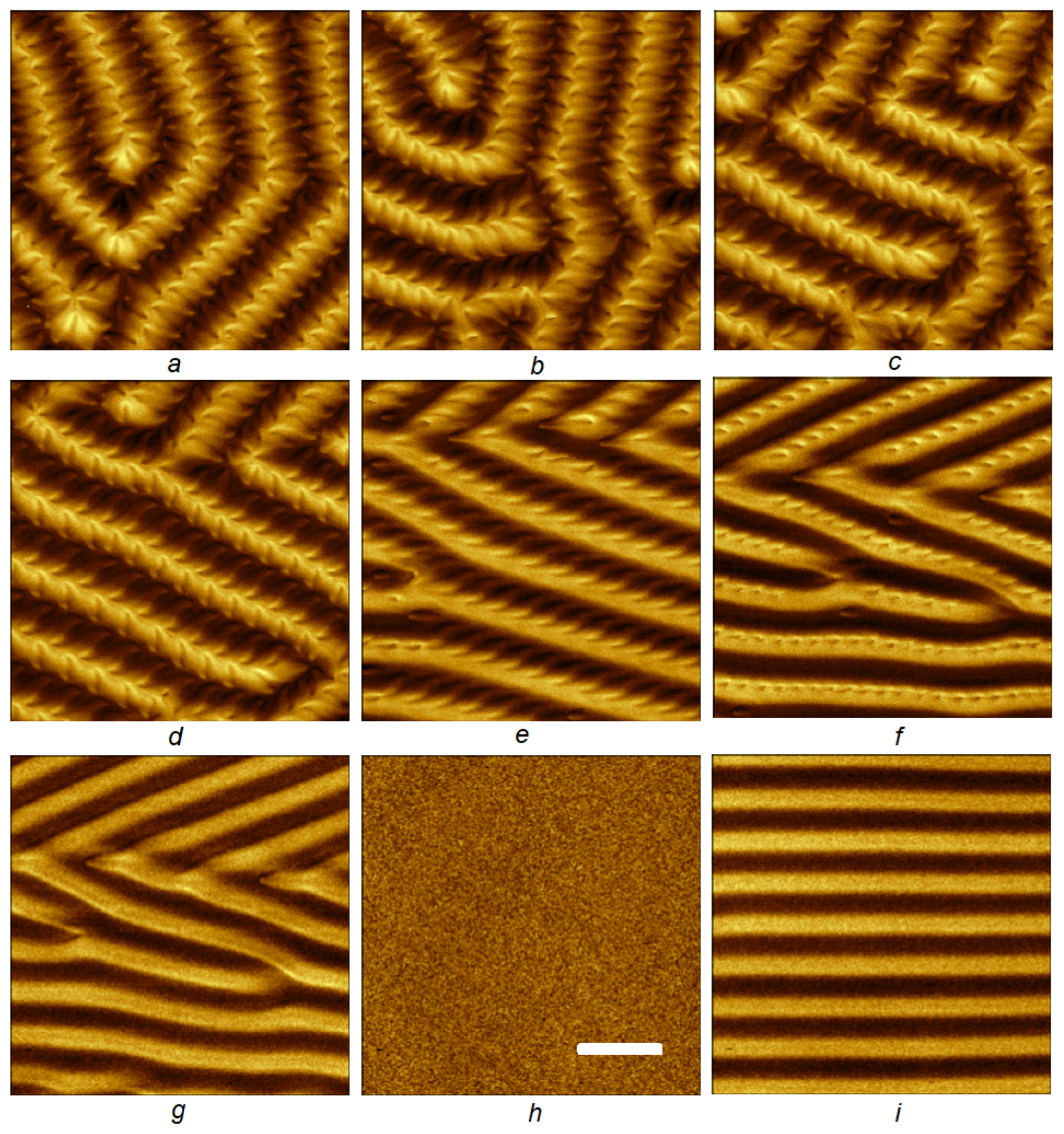Magnetochemistry 08 00180 g001