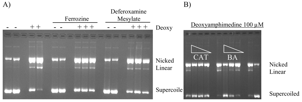 Marinedrugs 07 00196f5