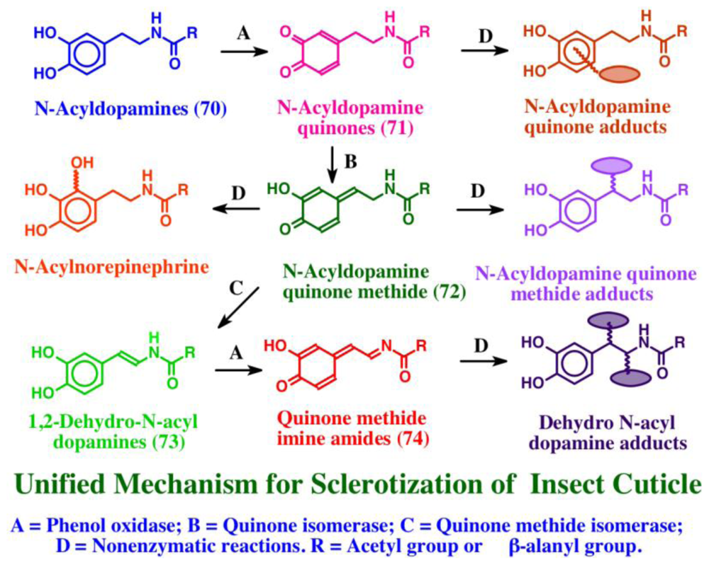 Marinedrugs 08 02906f14