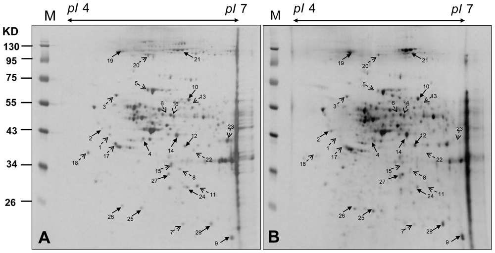 Marinedrugs 09 01254f6