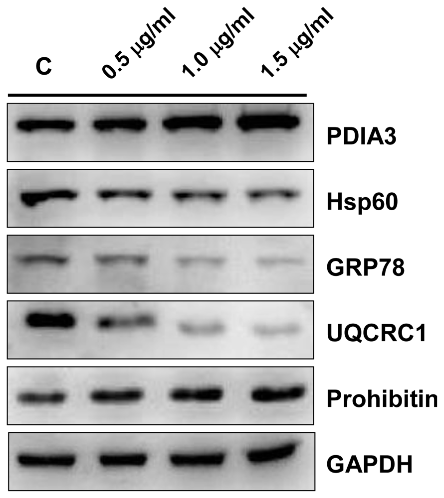 Marinedrugs 09 01254f8