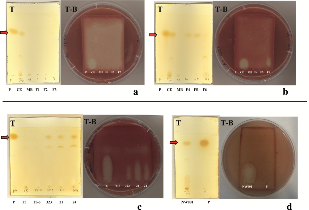 Marinedrugs 09 01391f3
