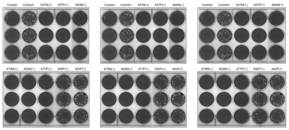 Marinedrugs 10 00521 g002