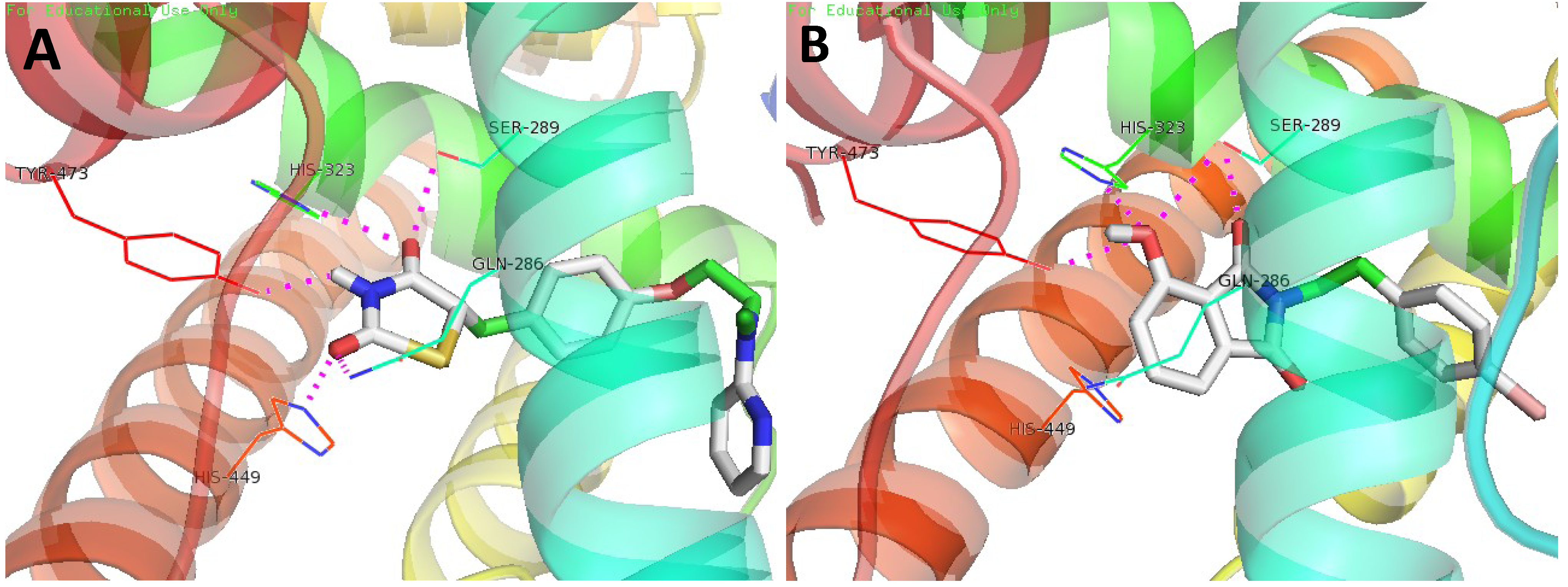 Marinedrugs 12 00926 g003