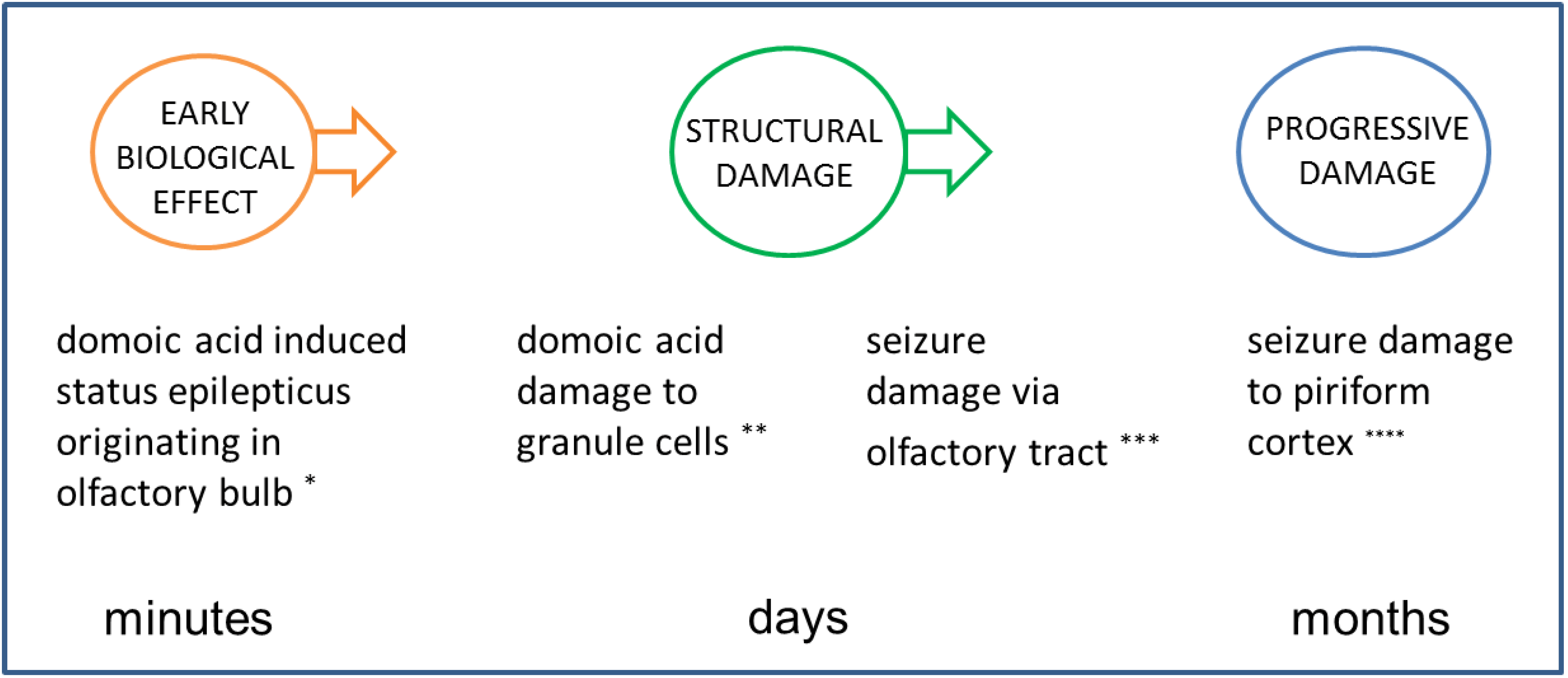 Marine Drugs | Free Full-Text | Domoic Acid Epileptic Disease