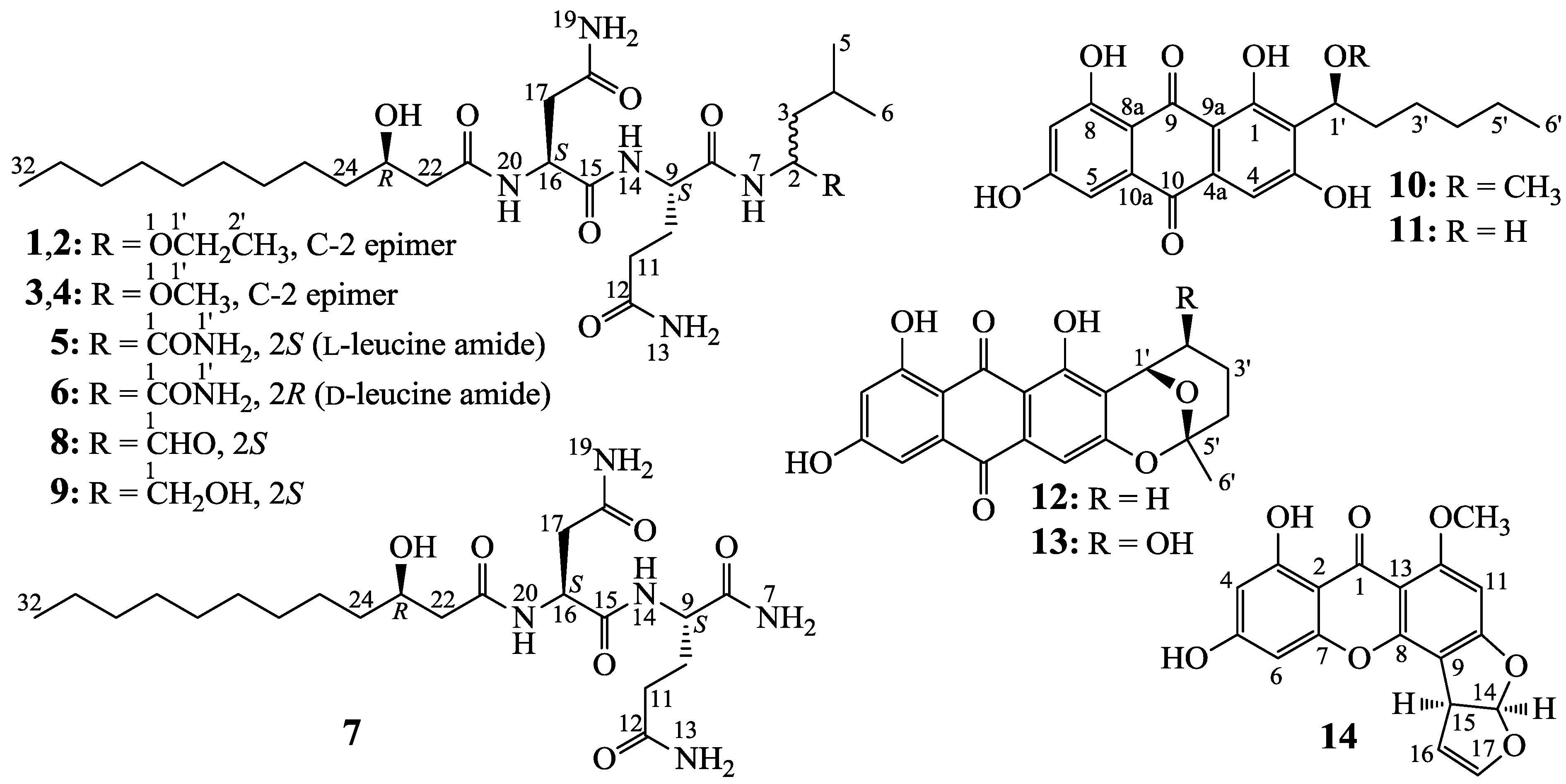 Marinedrugs 12 01815 g001