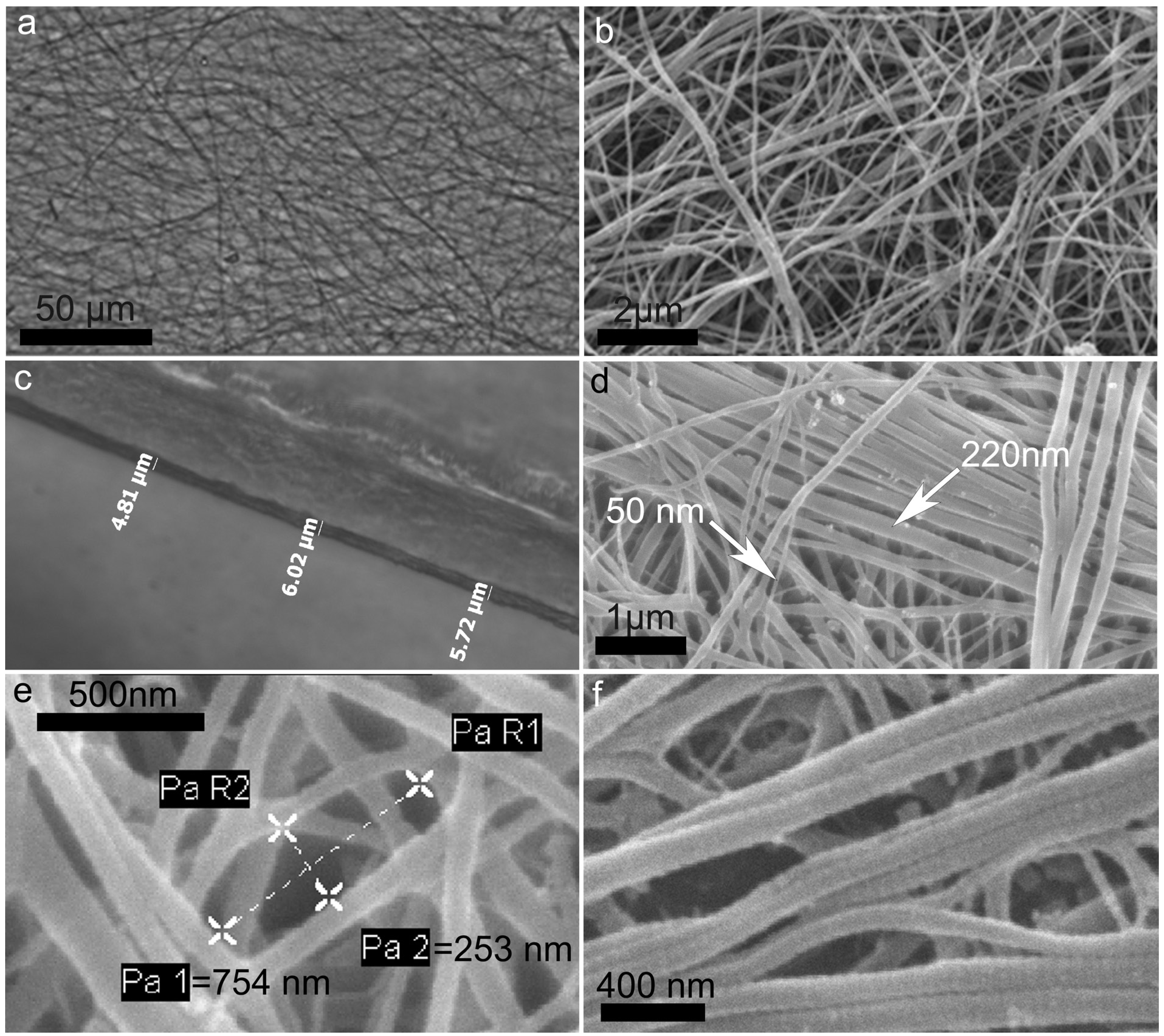 Marinedrugs 12 04912 g004