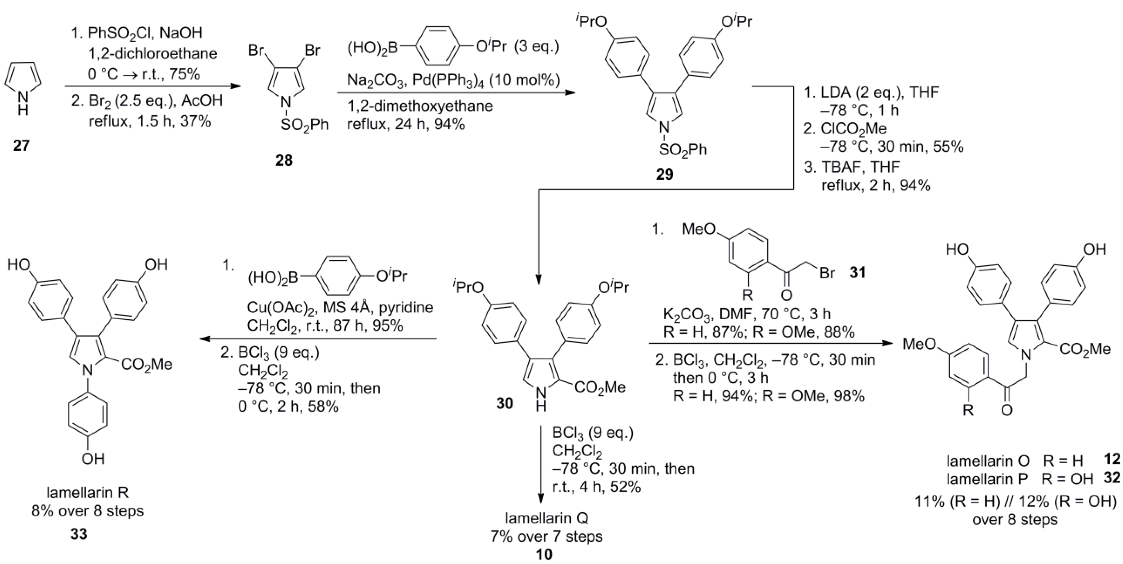Marinedrugs 12 06142 g006