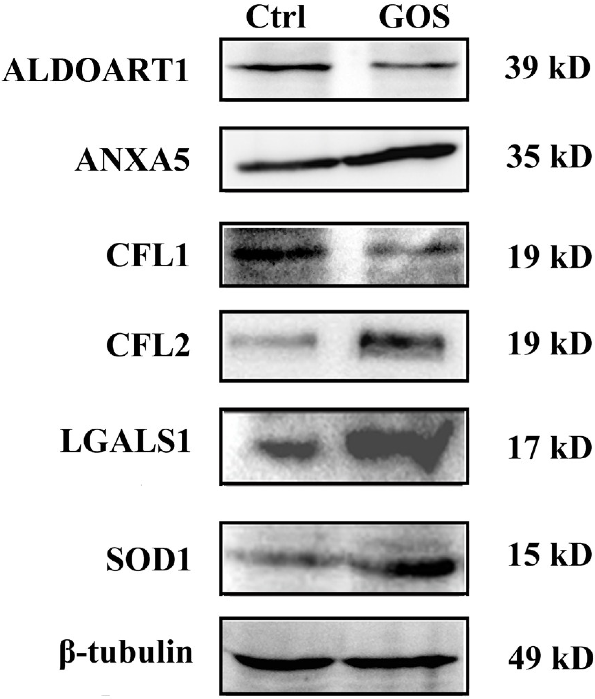 Marinedrugs 13 01798 g004