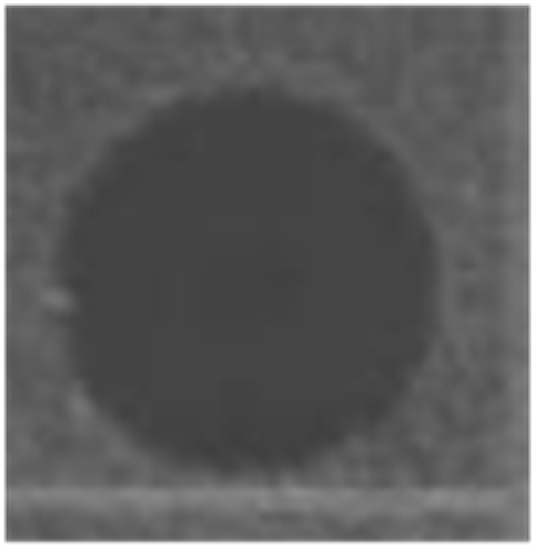 Marinedrugs 14 00227 i006