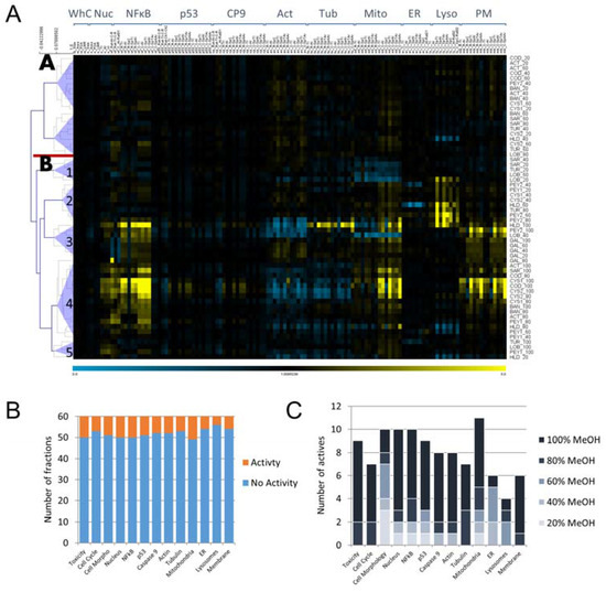 Bioactive Potential of Marine Macroalgae from the Central Red Sea Saudi Arabia Assessed by High-Throughput Imaging-Based Phenotypic Profiling Bioactive Potential of Marine Macroalgae from the Central Red Sea Saudi Arabia Assessed by High-Throughput Imaging-Based Phenotypic Profiling