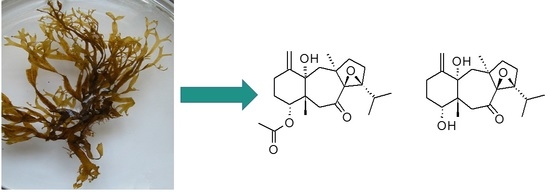 Two New Oxodolastane Diterpenes from the Jamaican Macroalga Canistrocarpus cervicornis Two New Oxodolastane Diterpenes from the Jamaican Macroalga Canistrocarpus cervicornis