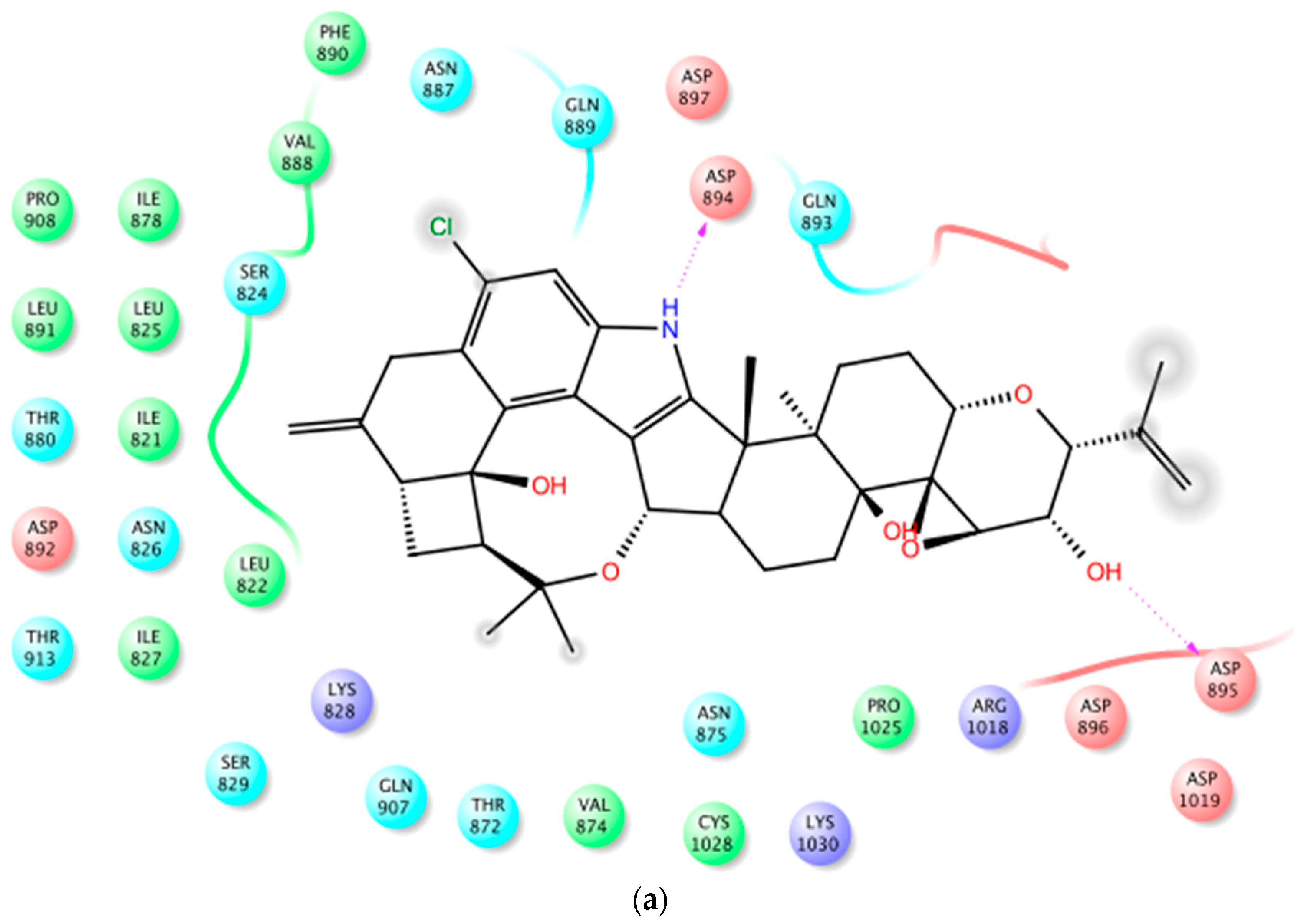 Marinedrugs 16 00157 g004a