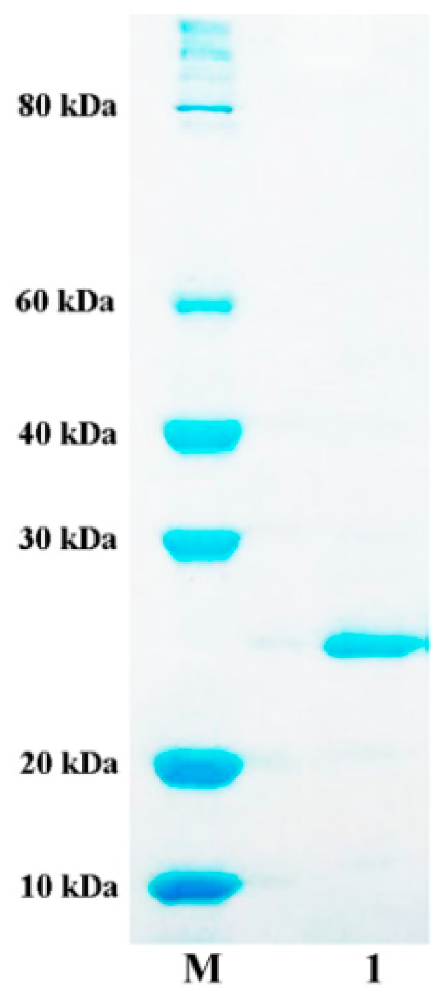 Marinedrugs 16 00258 g004