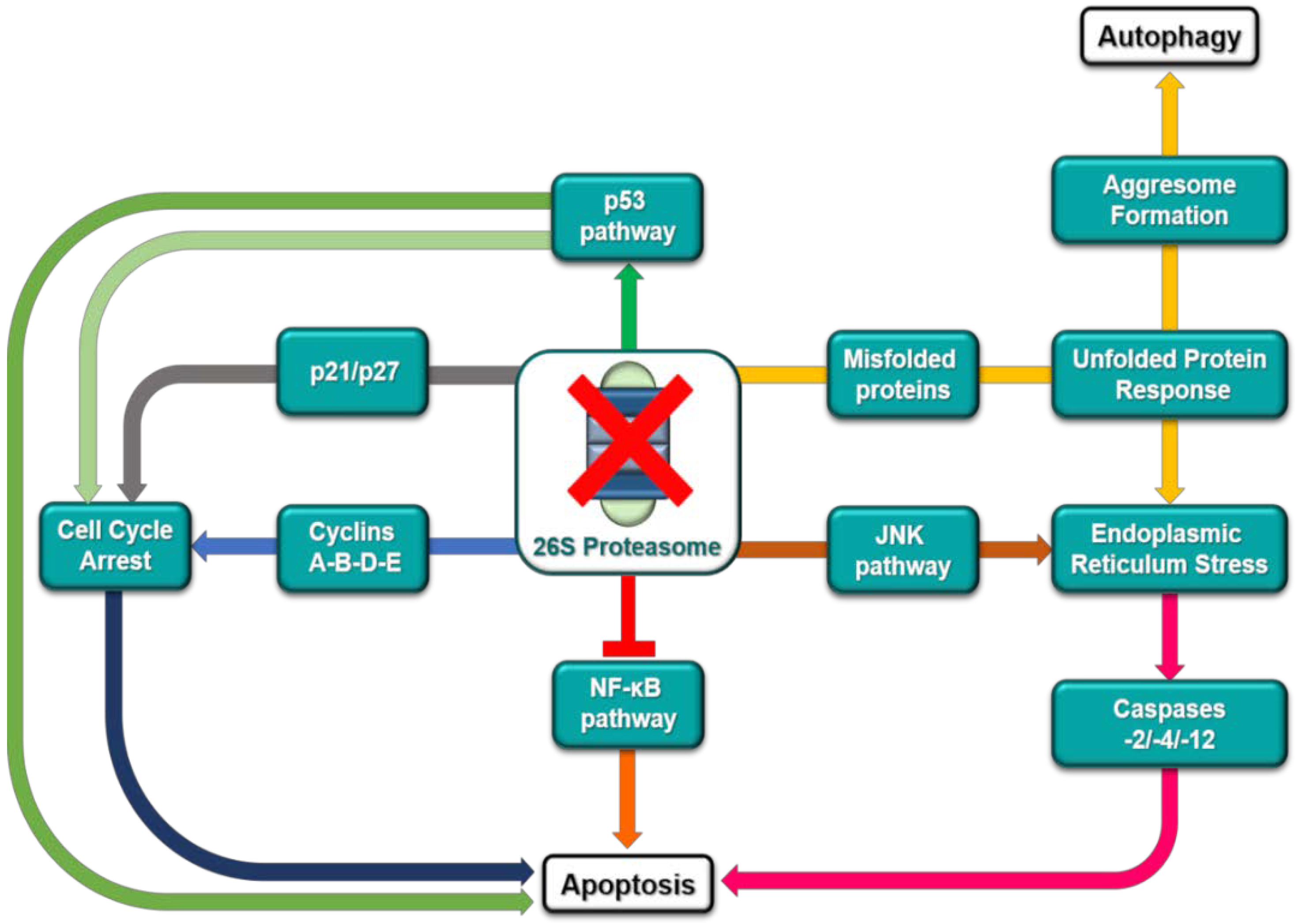 Marinedrugs 16 00467 g002