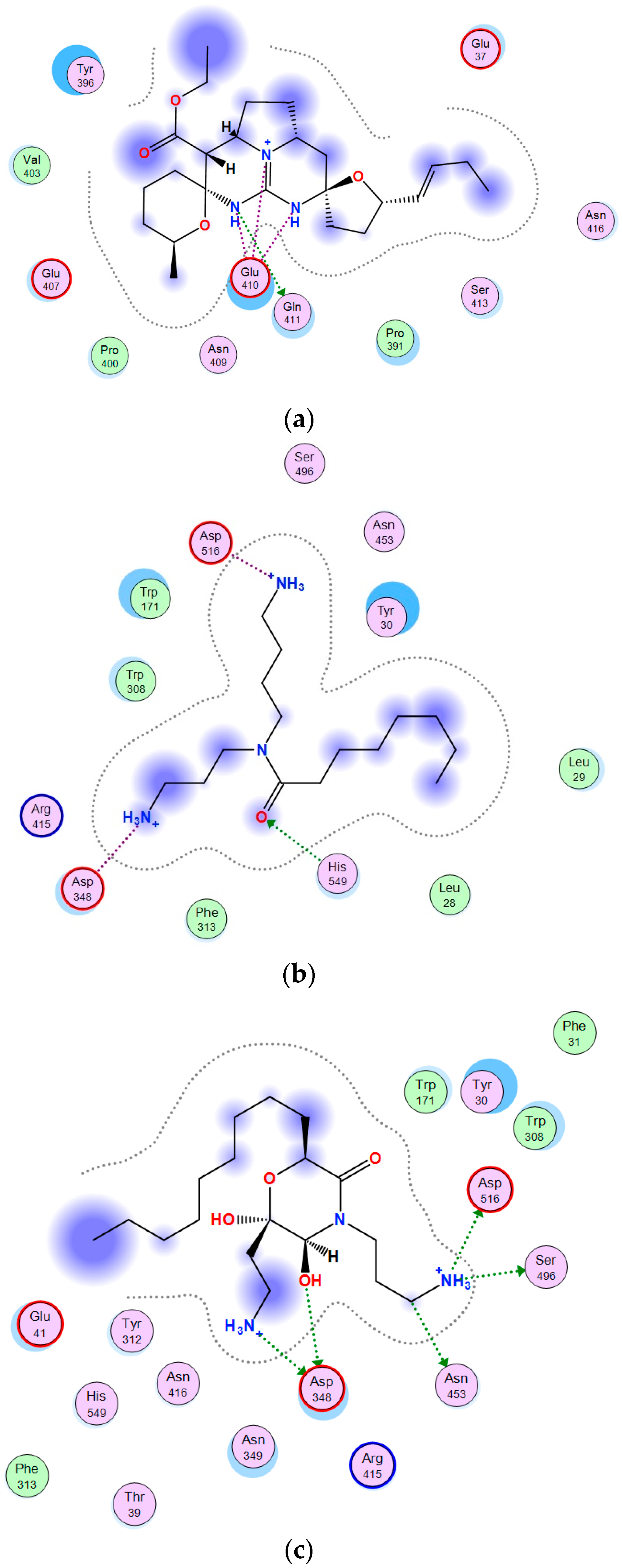 Marinedrugs 17 00022 g004a