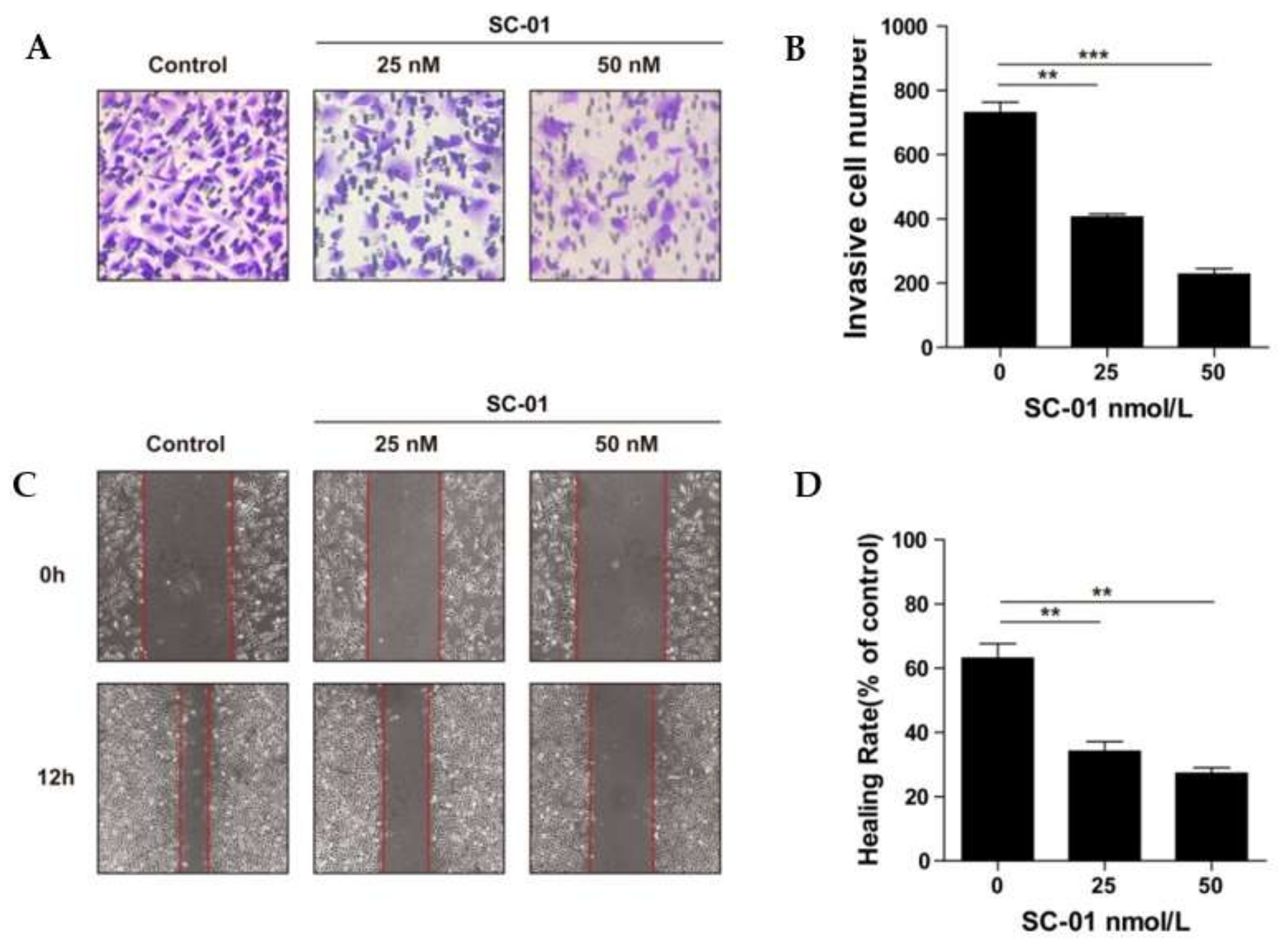 Marinedrugs 17 00277 g004