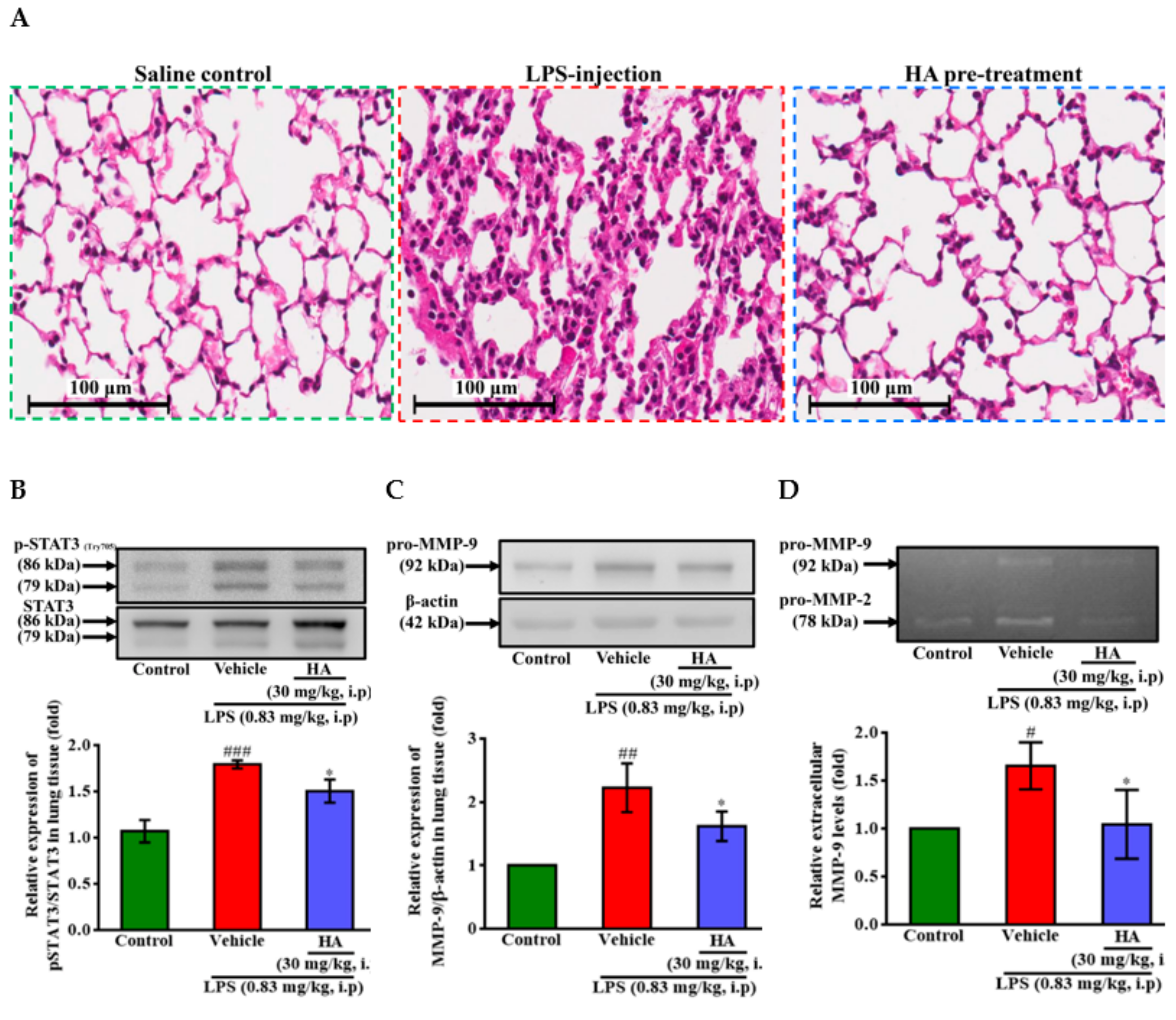Marinedrugs 17 00360 g007