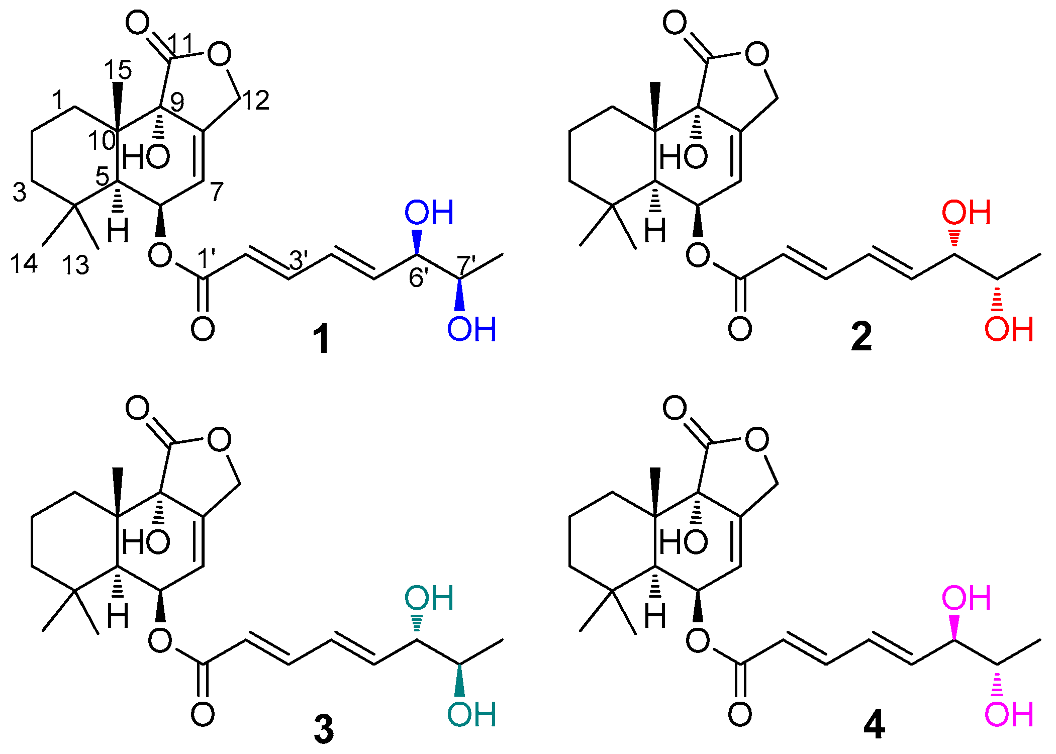 Marinedrugs 17 00550 g001