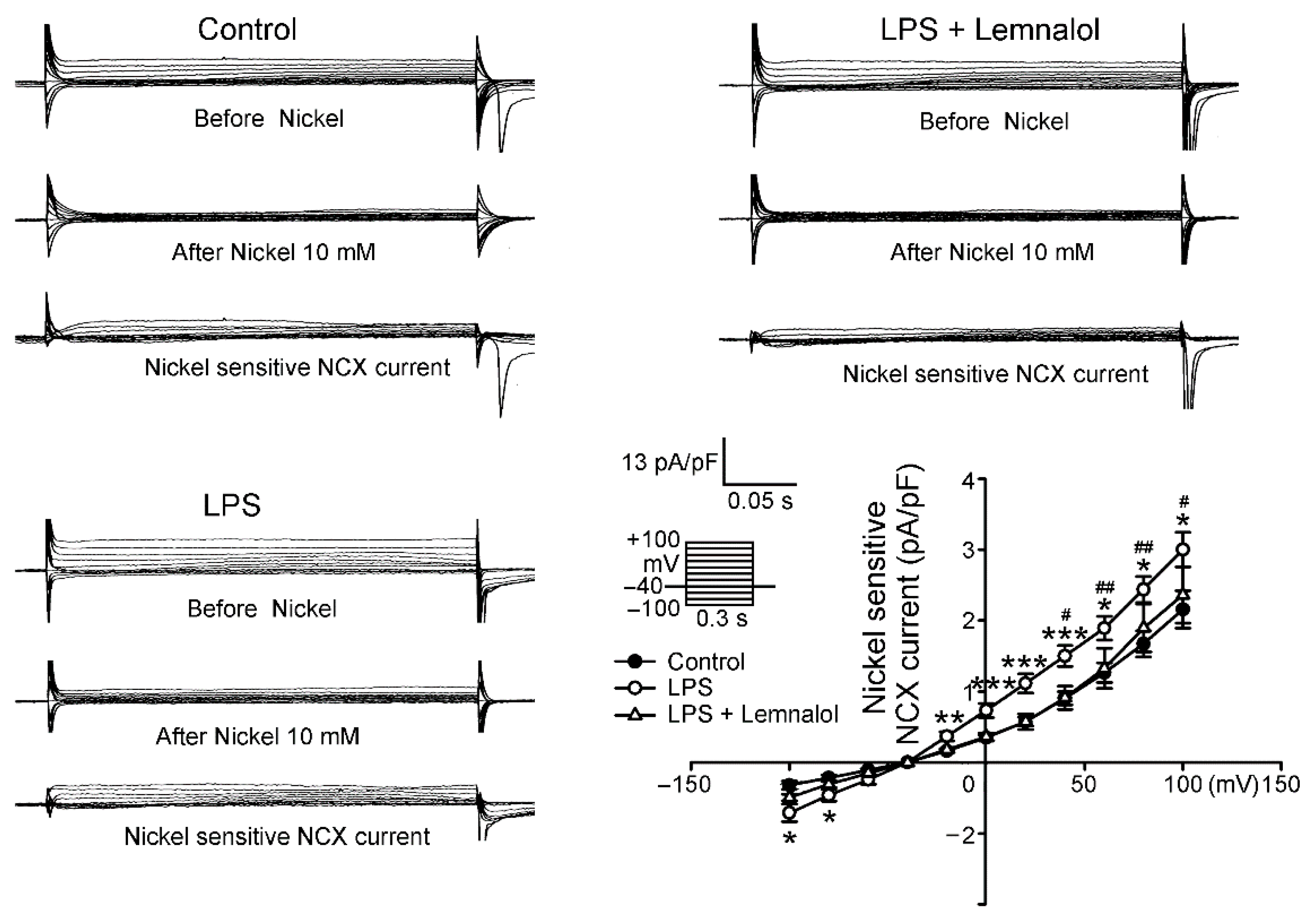 Marinedrugs 17 00619 g004
