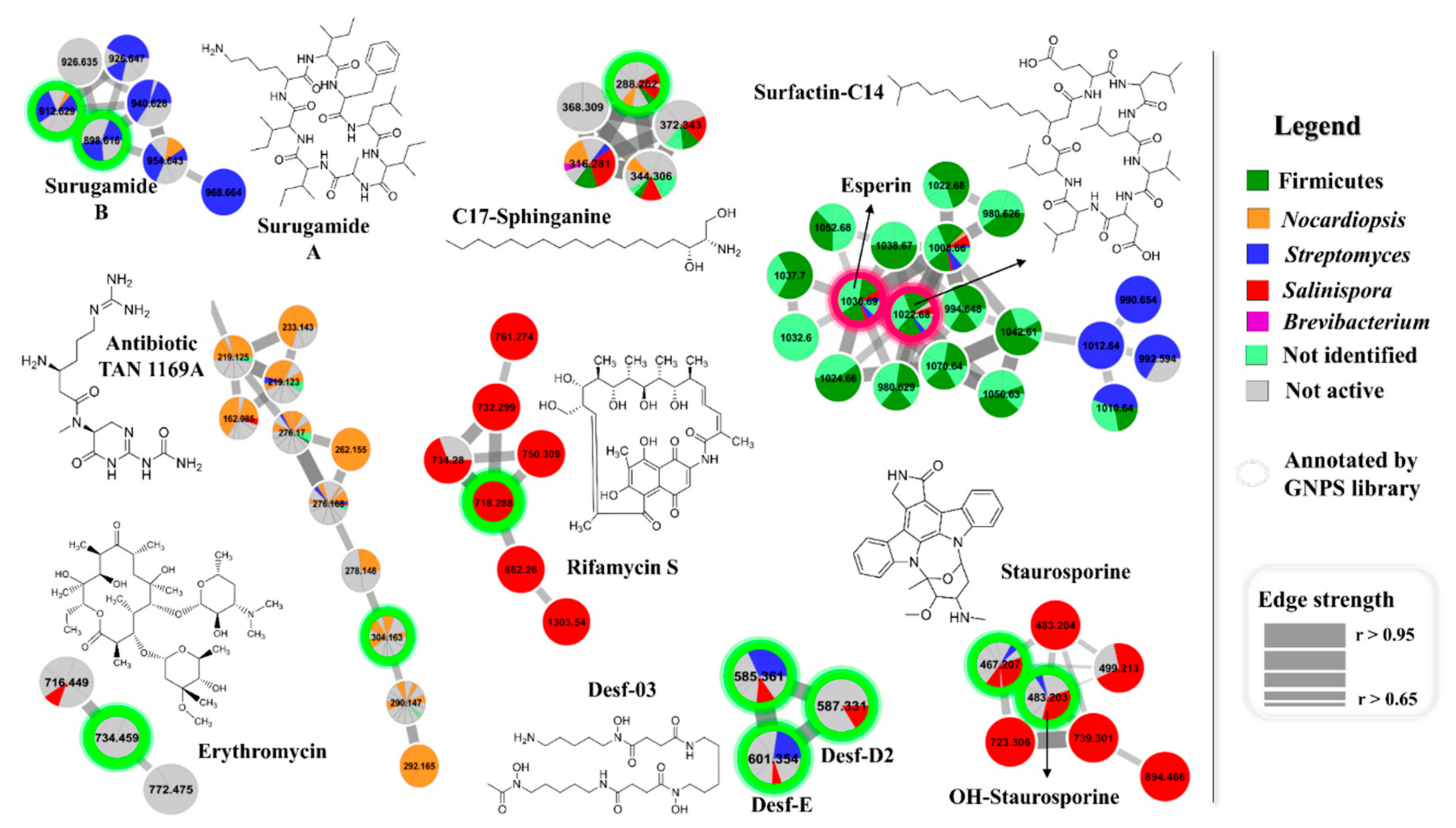 Marinedrugs 17 00671 g003 Marinedrugs 17 00671 g003