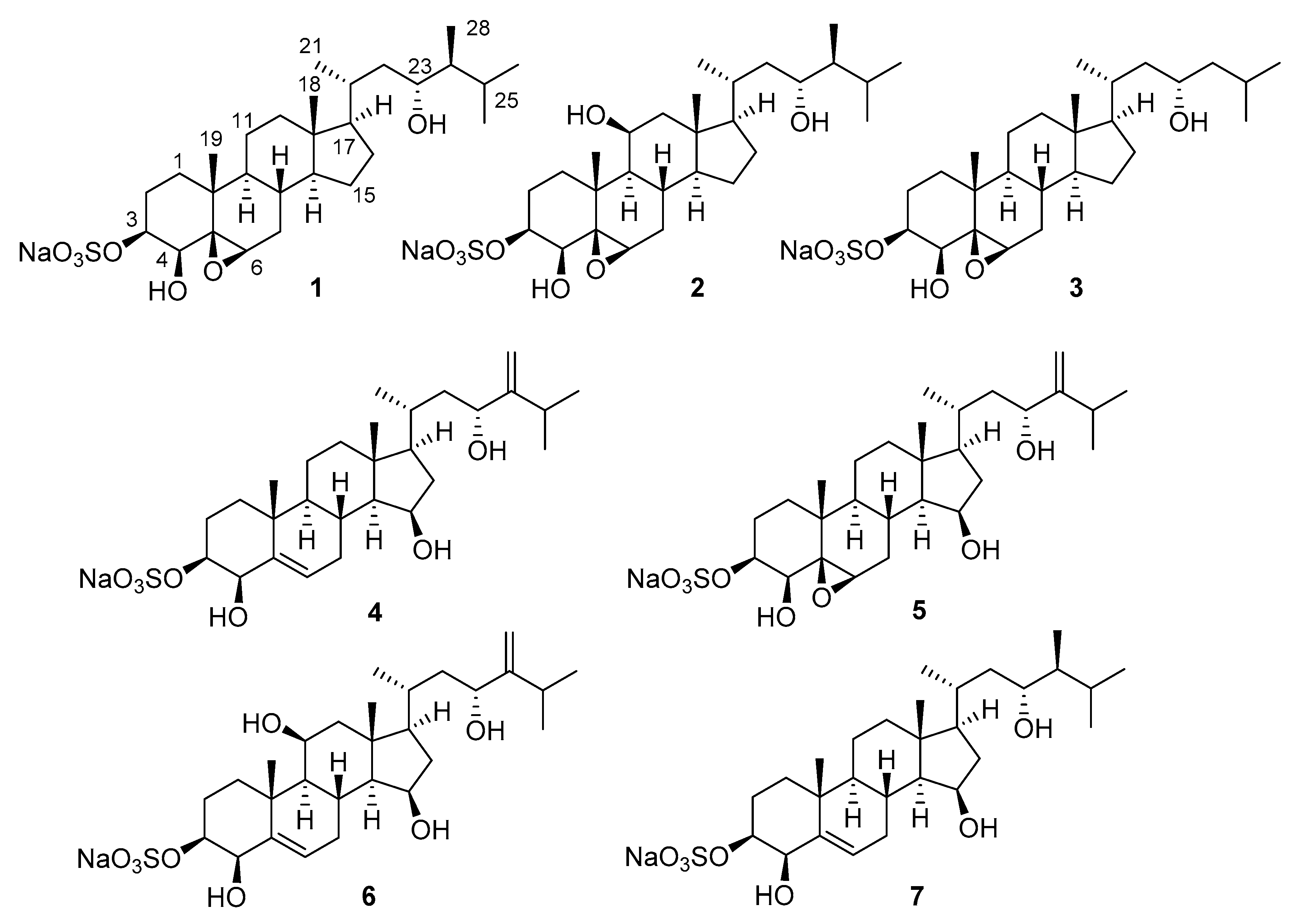 Marinedrugs 18 00454 g001