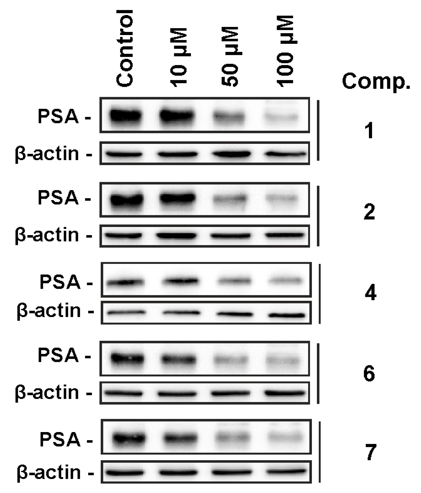 Marinedrugs 18 00454 g005