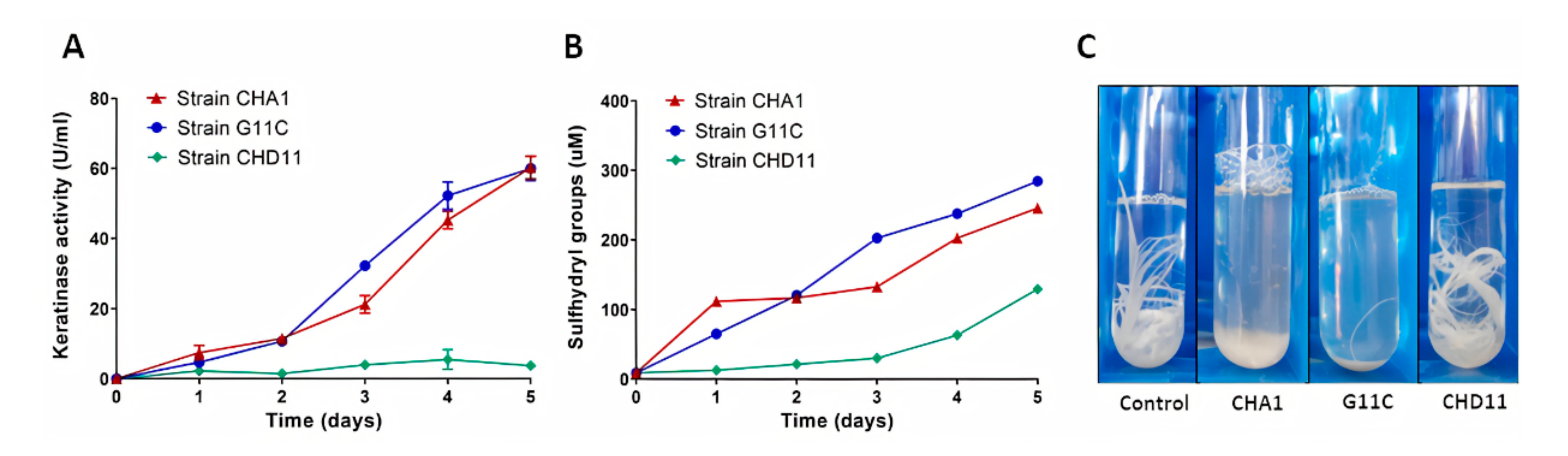 Marinedrugs 18 00537 g004