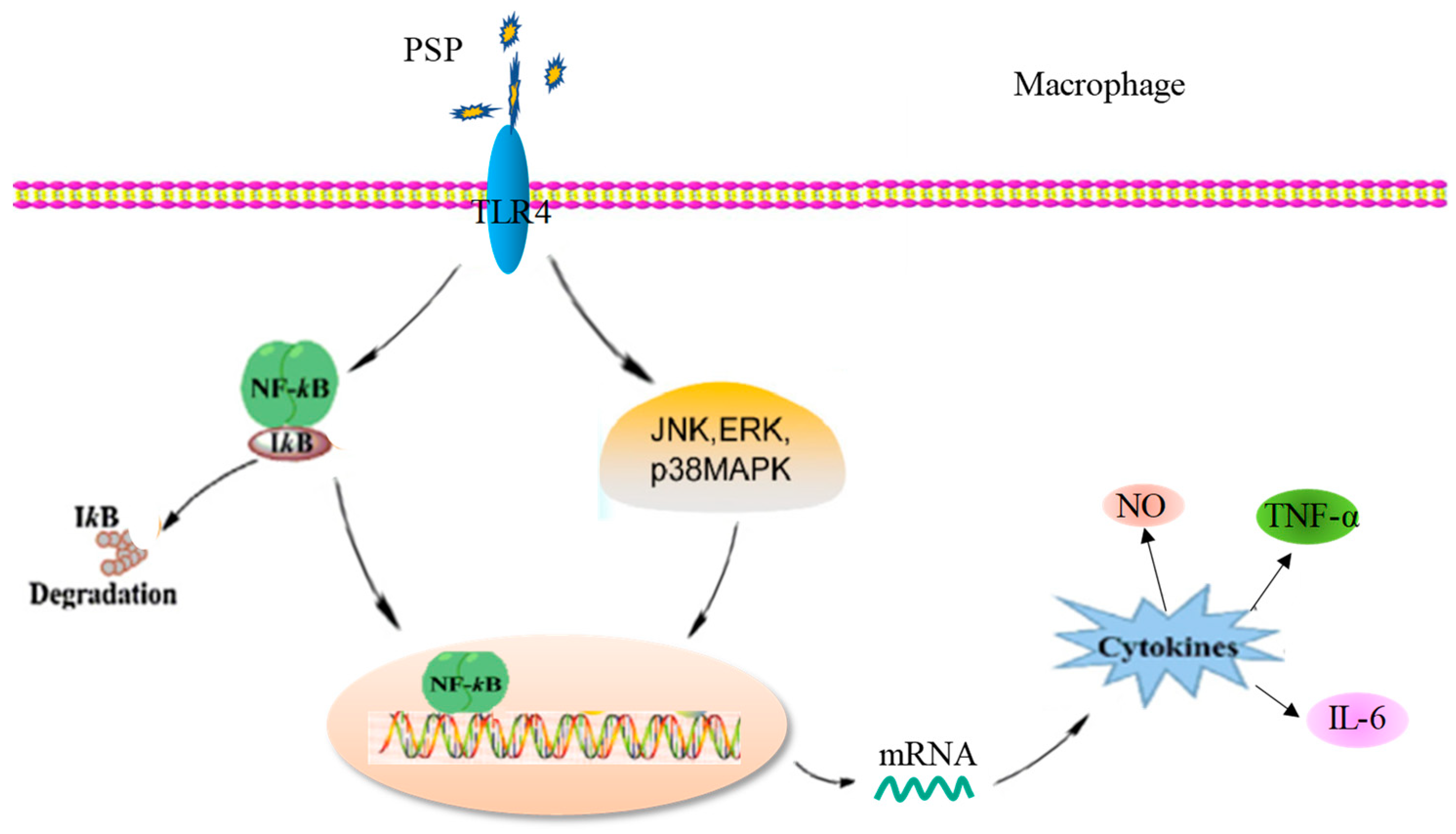Marinedrugs 18 00538 g012