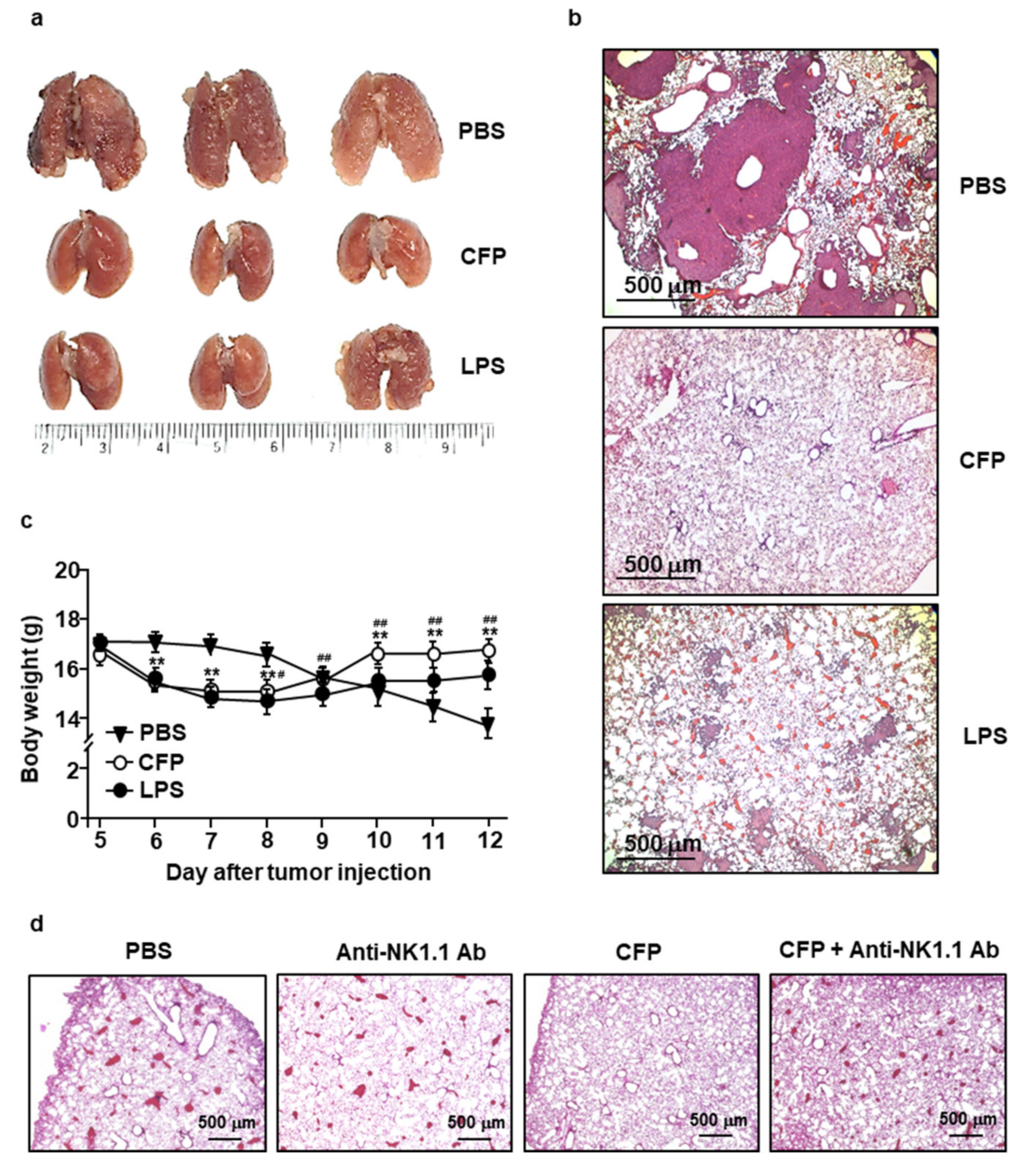 Marinedrugs 18 00626 g005