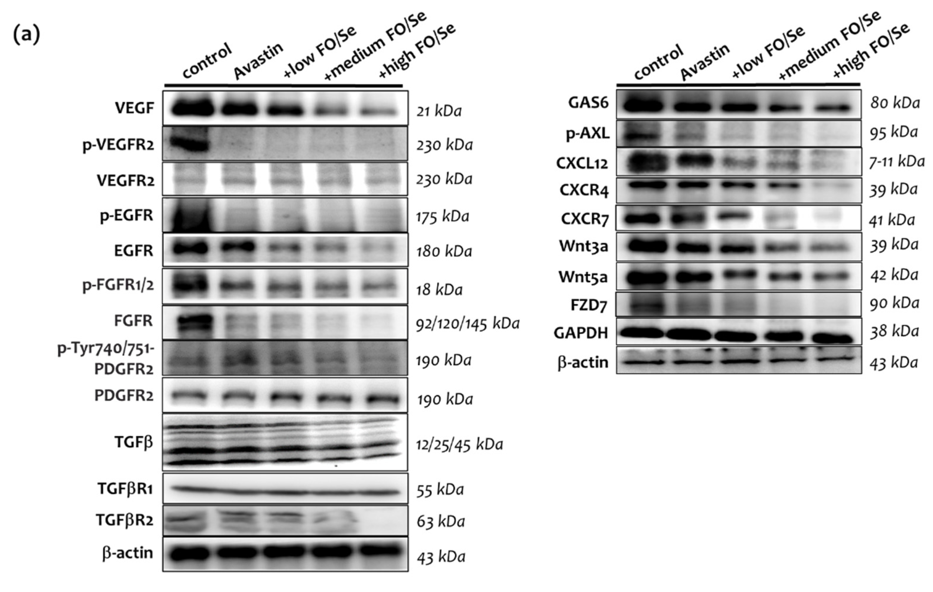 Marinedrugs 19 00193 g003a