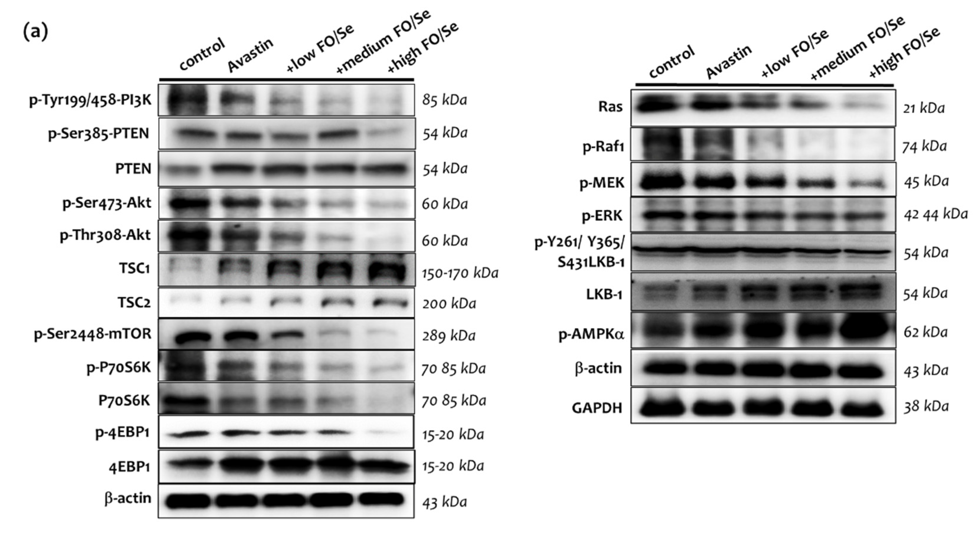 Marinedrugs 19 00193 g004a