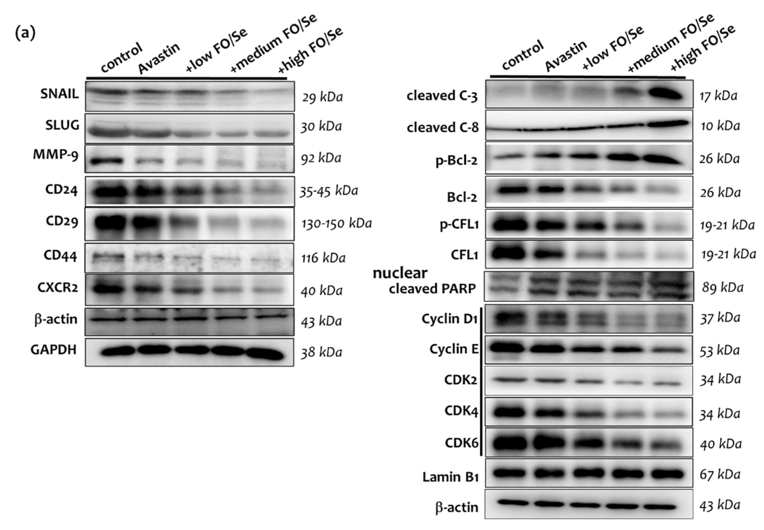 Marinedrugs 19 00193 g006a
