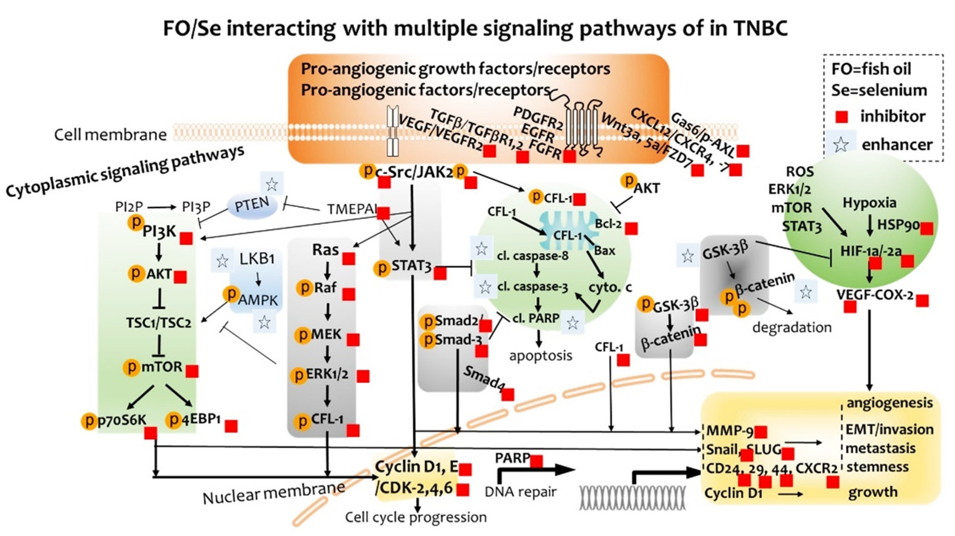 Marinedrugs 19 00193 g007