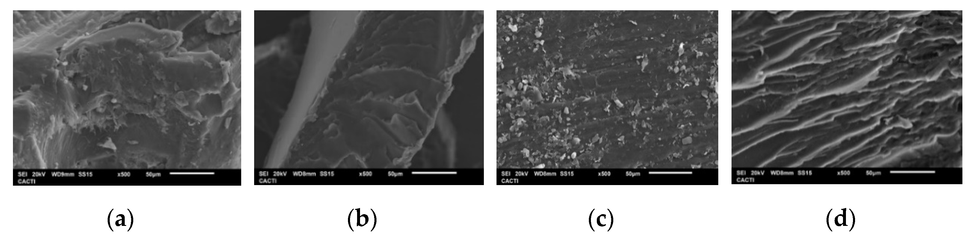 Marinedrugs 19 00491 g006