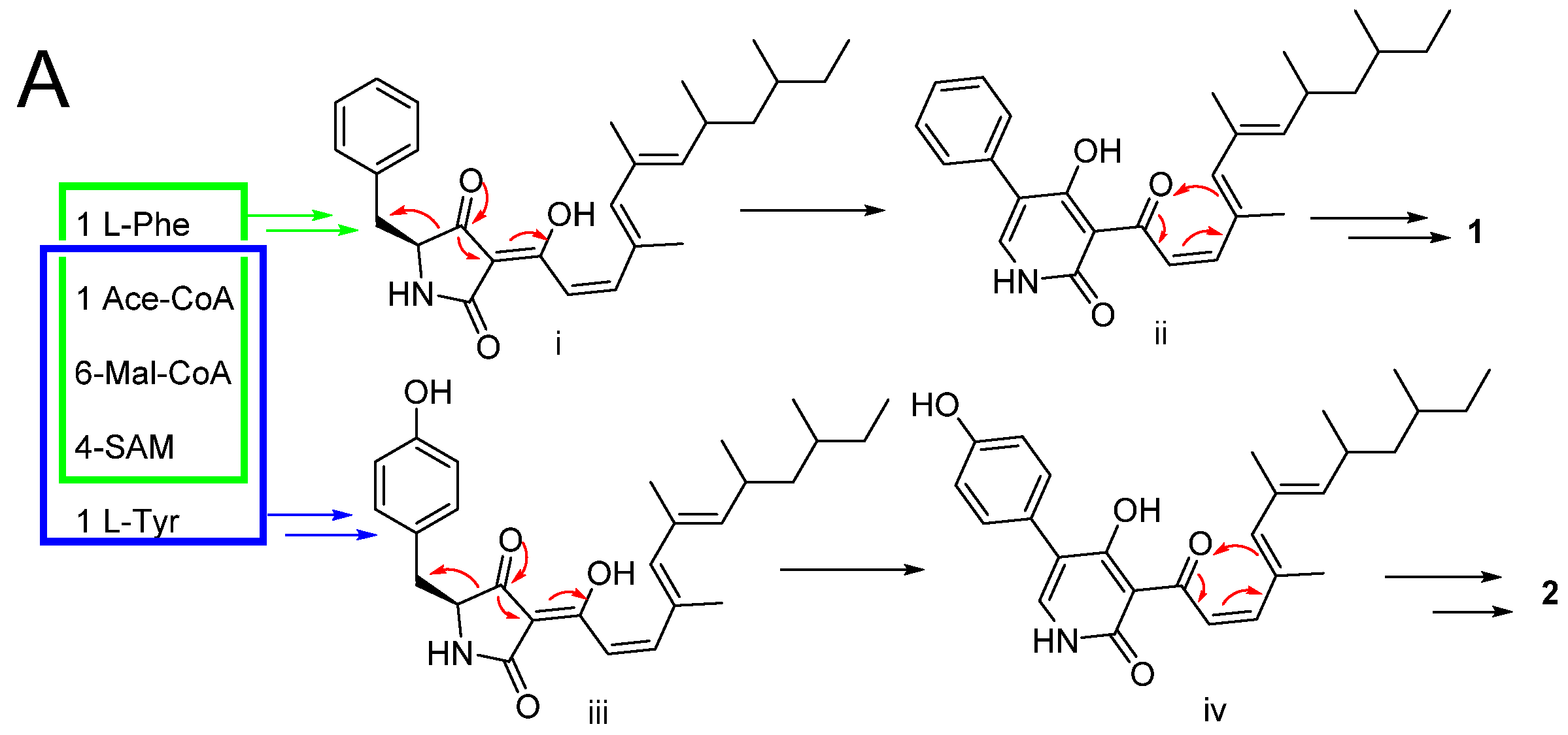 Marinedrugs 19 00492 g007a