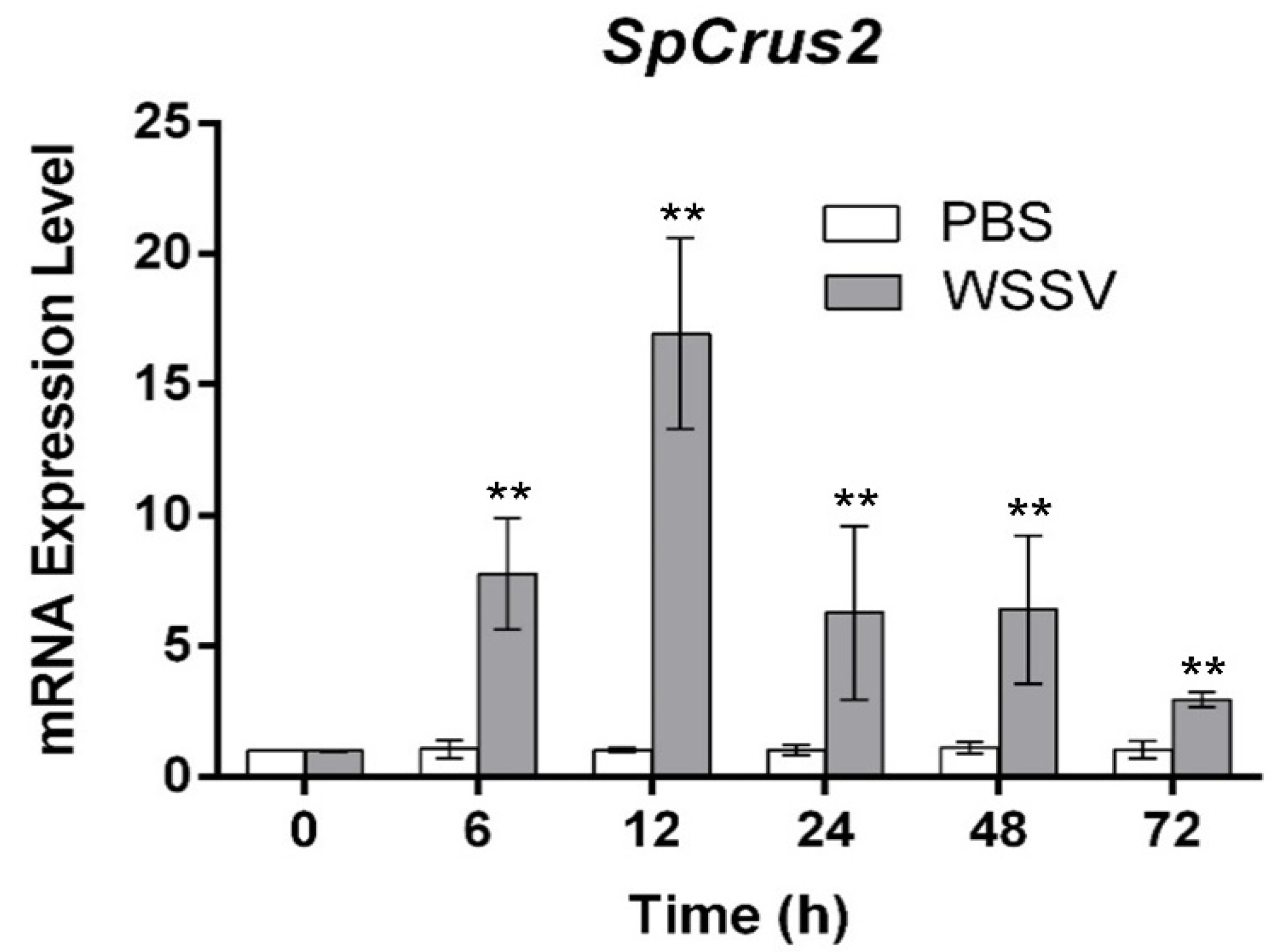 Marinedrugs 19 00544 g002