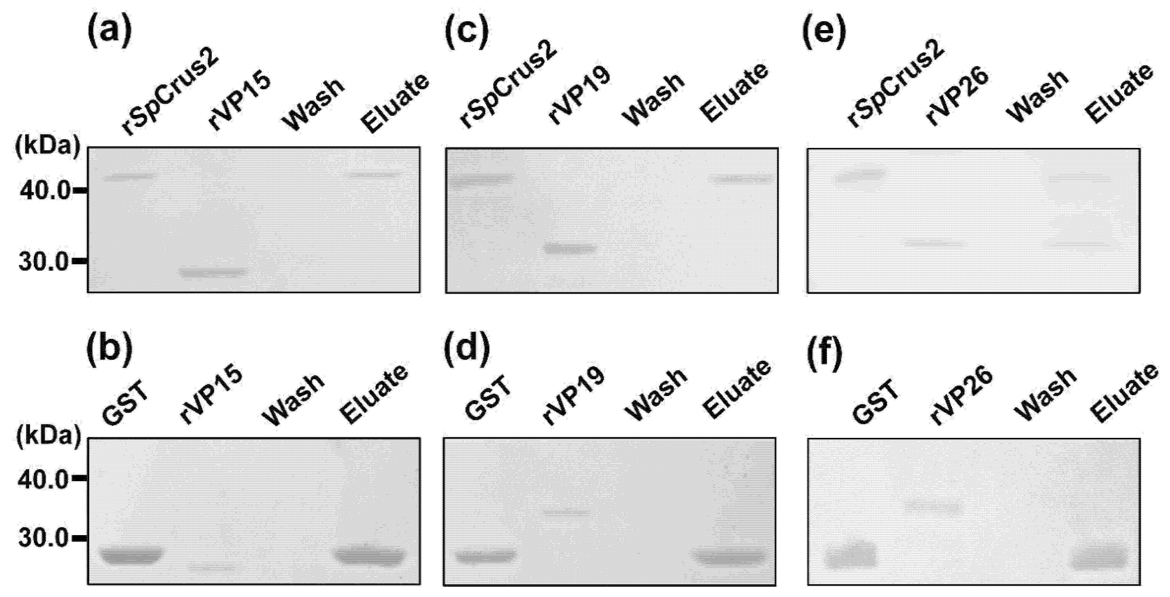 Marinedrugs 19 00544 g005