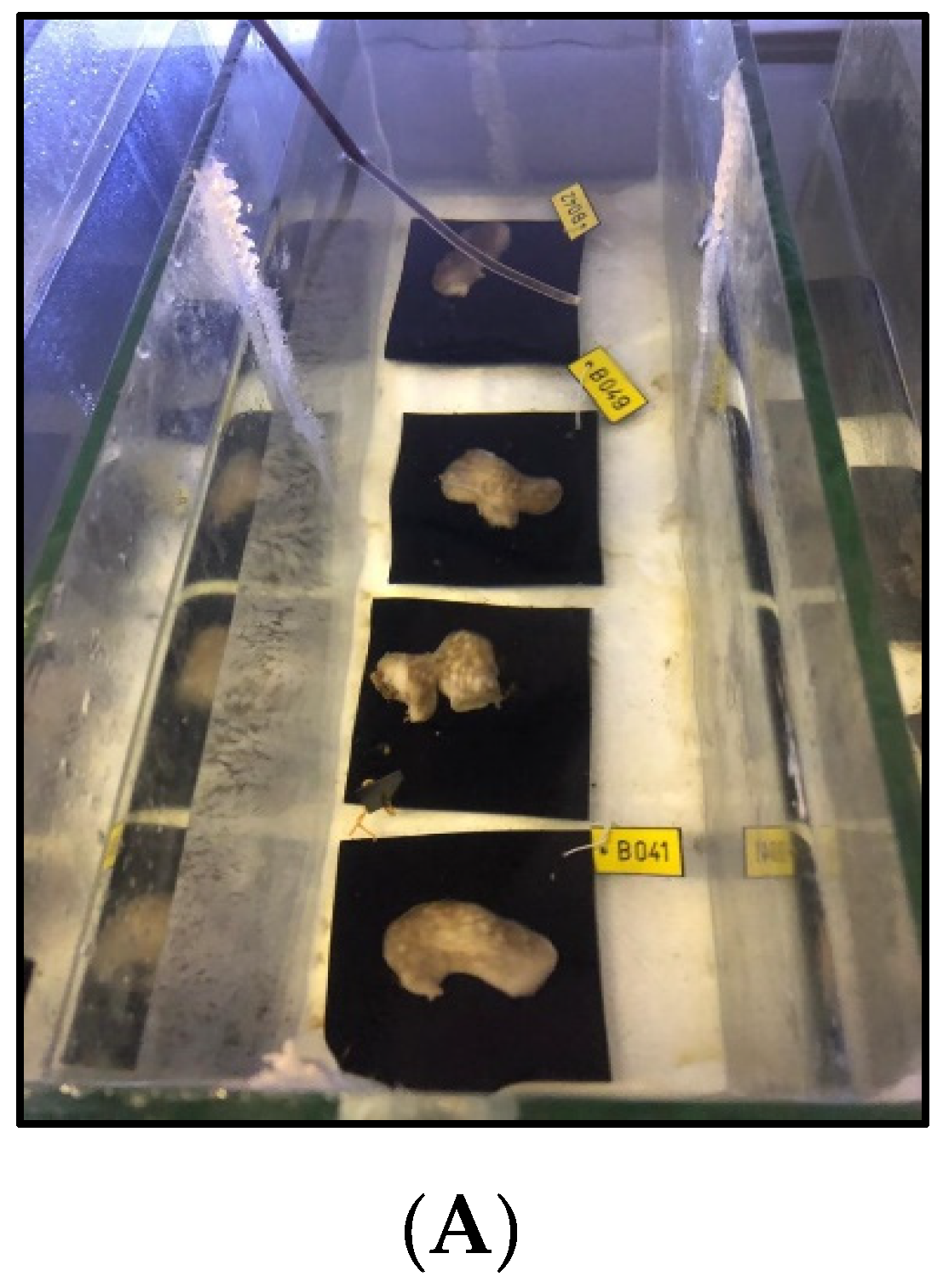 Marinedrugs 19 00669 g007a