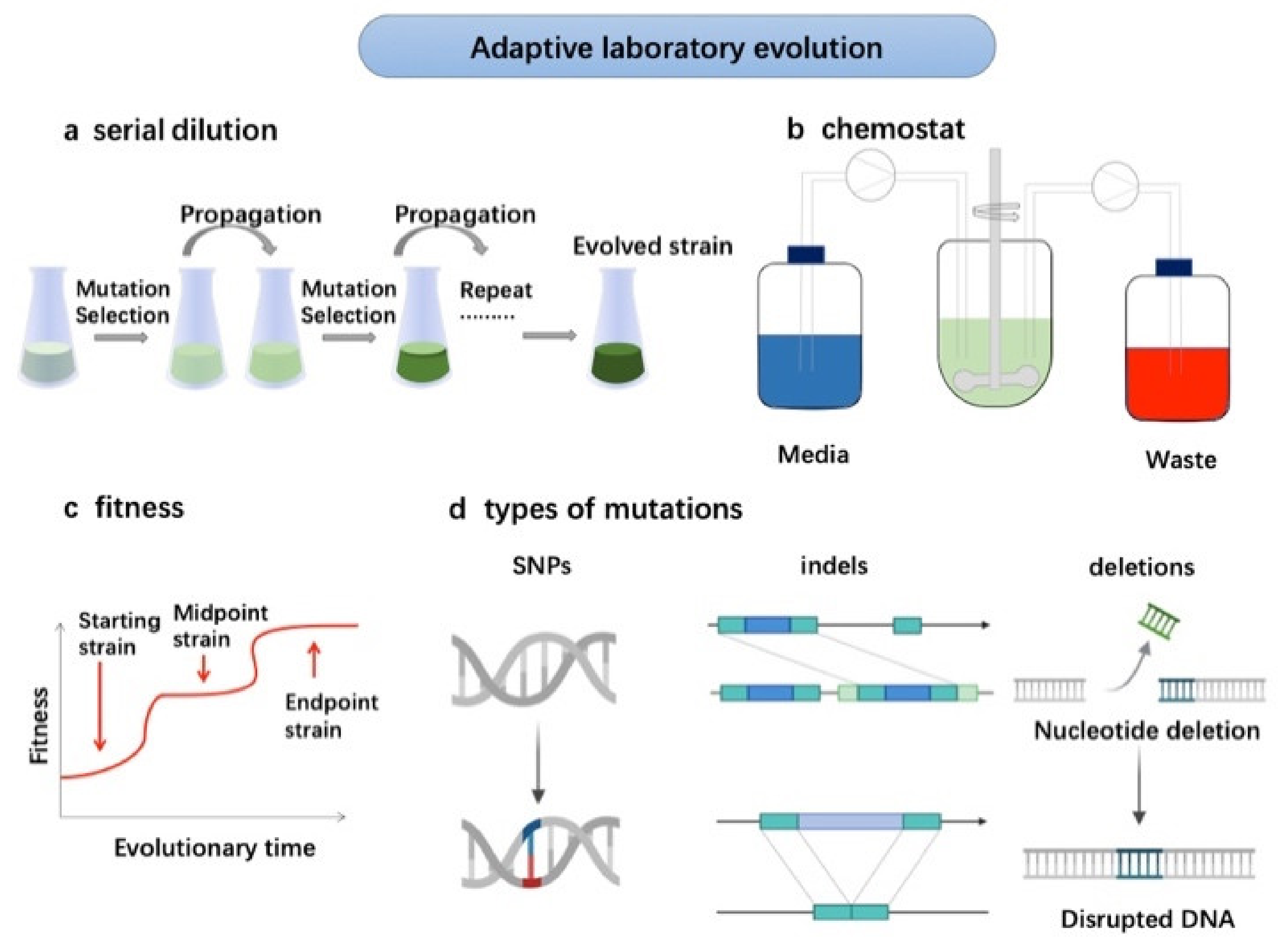 Marinedrugs 20 00030 g001