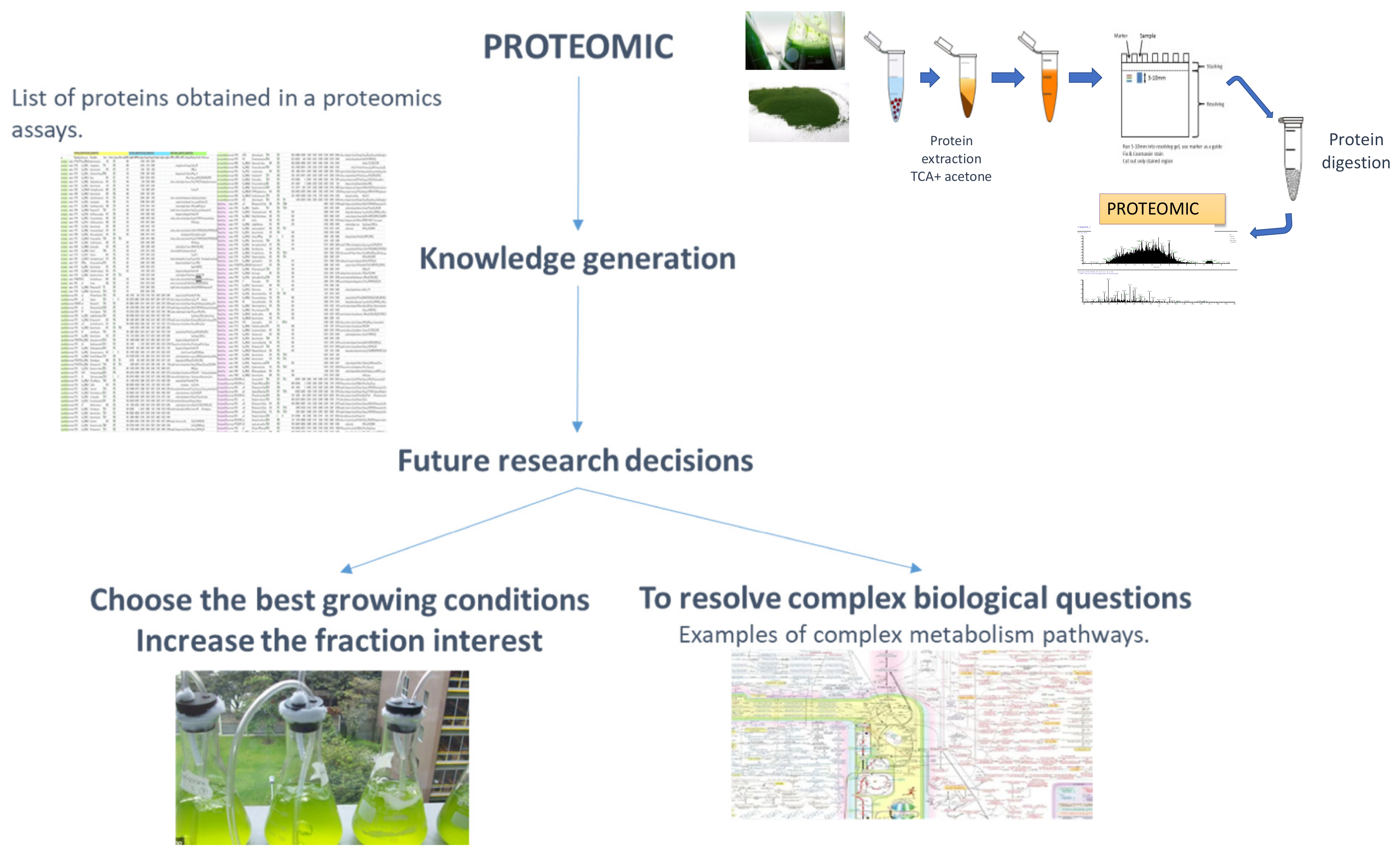Marinedrugs 20 00038 g002
