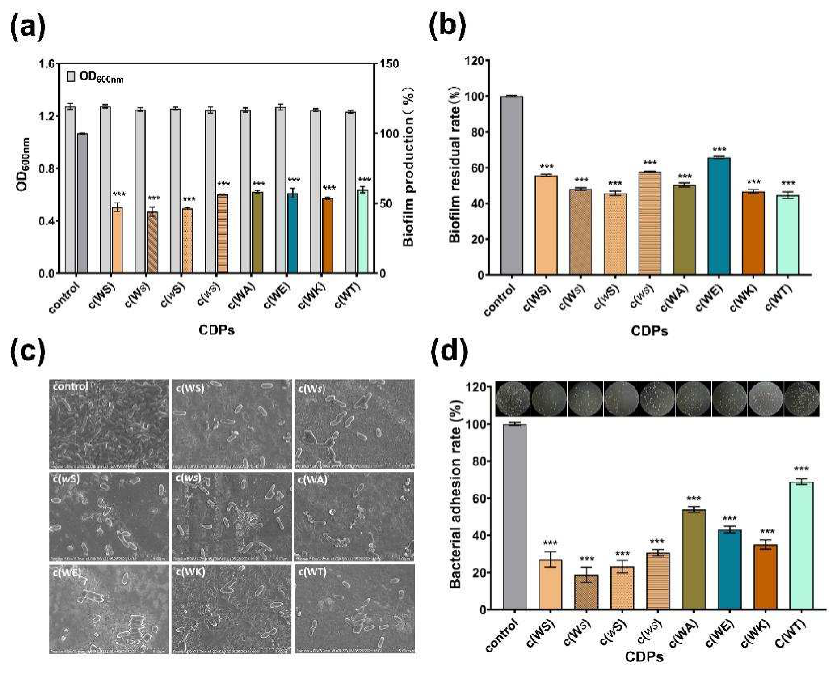 Marinedrugs 20 00085 g005