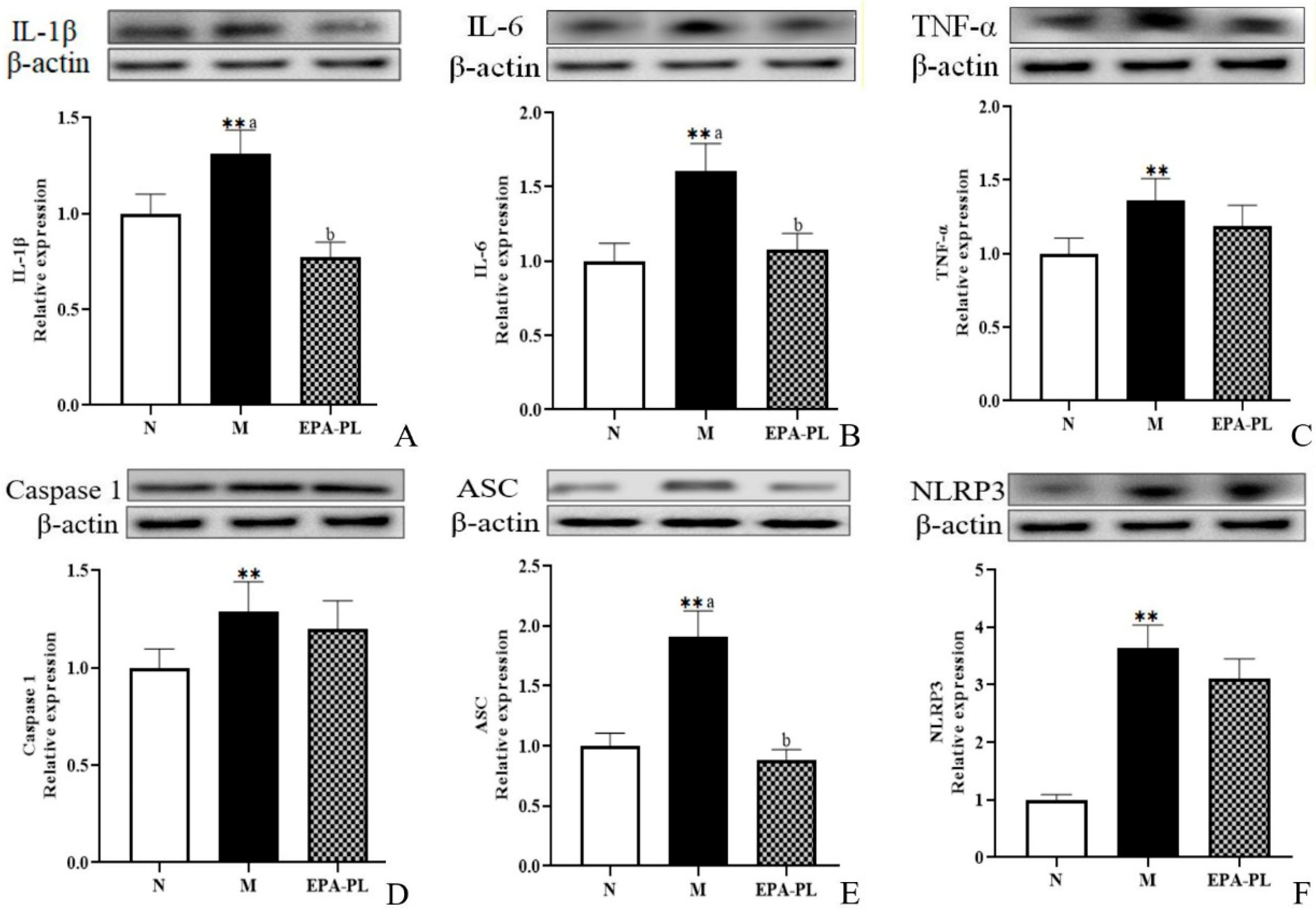 Marinedrugs 20 00152 g005