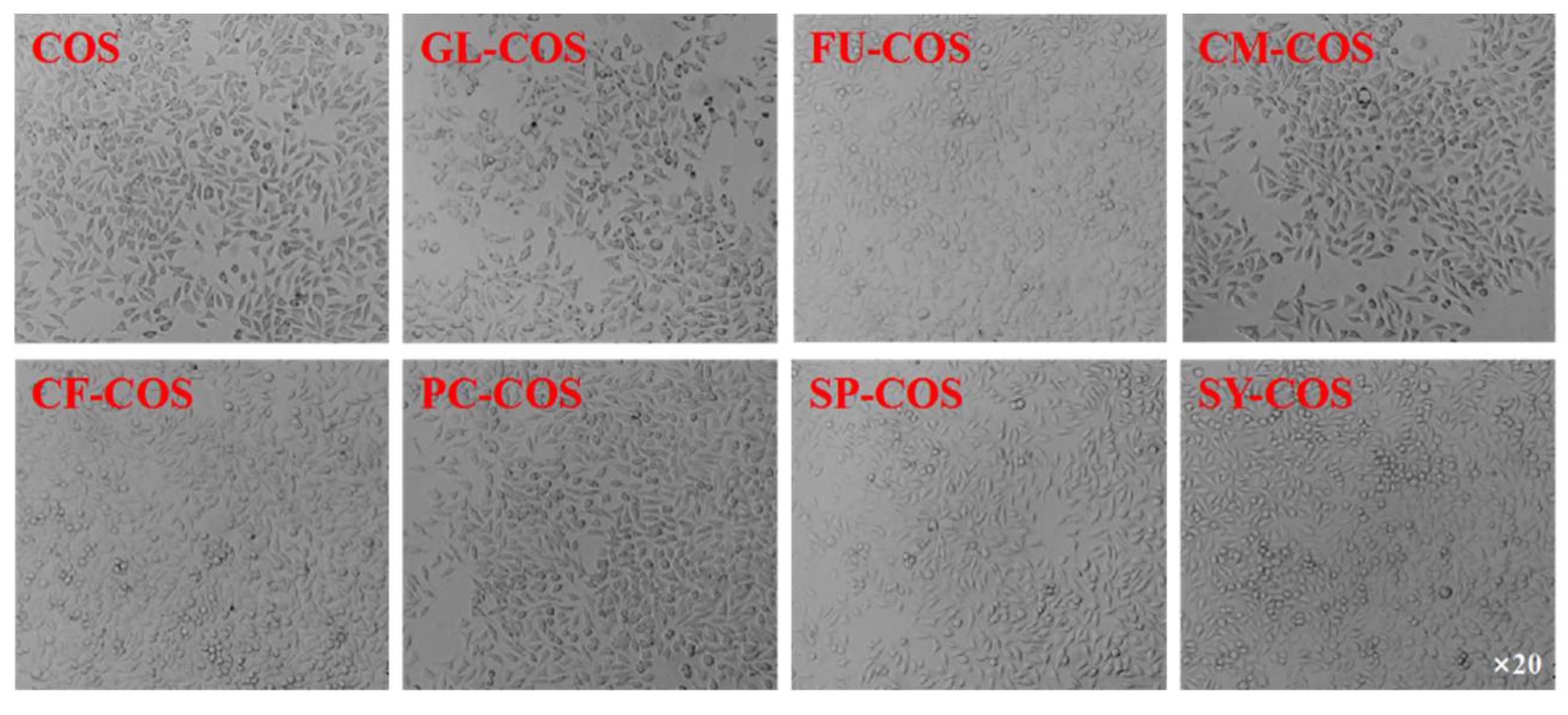 Marinedrugs 20 00489 g012