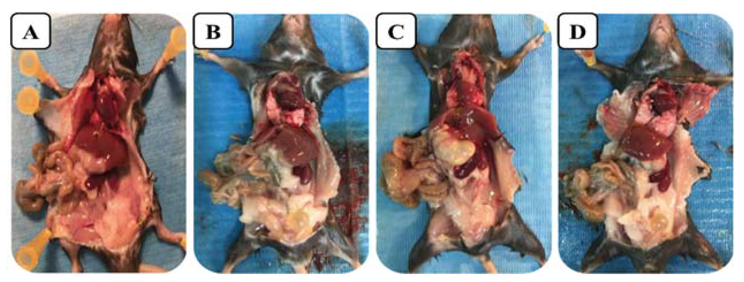 Marinedrugs 21 00284 g007